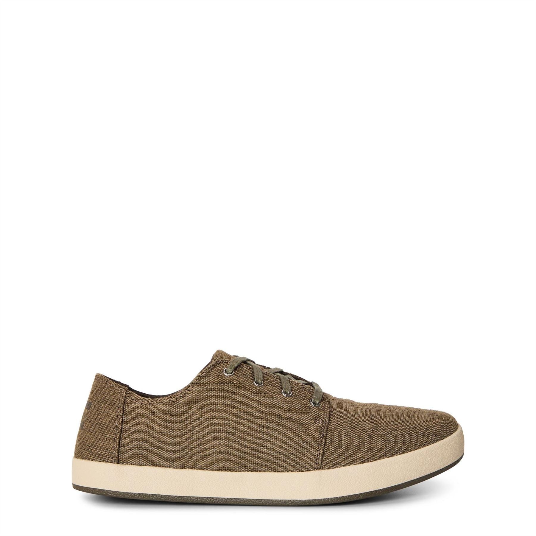 Toms Mens Canvasas Payt