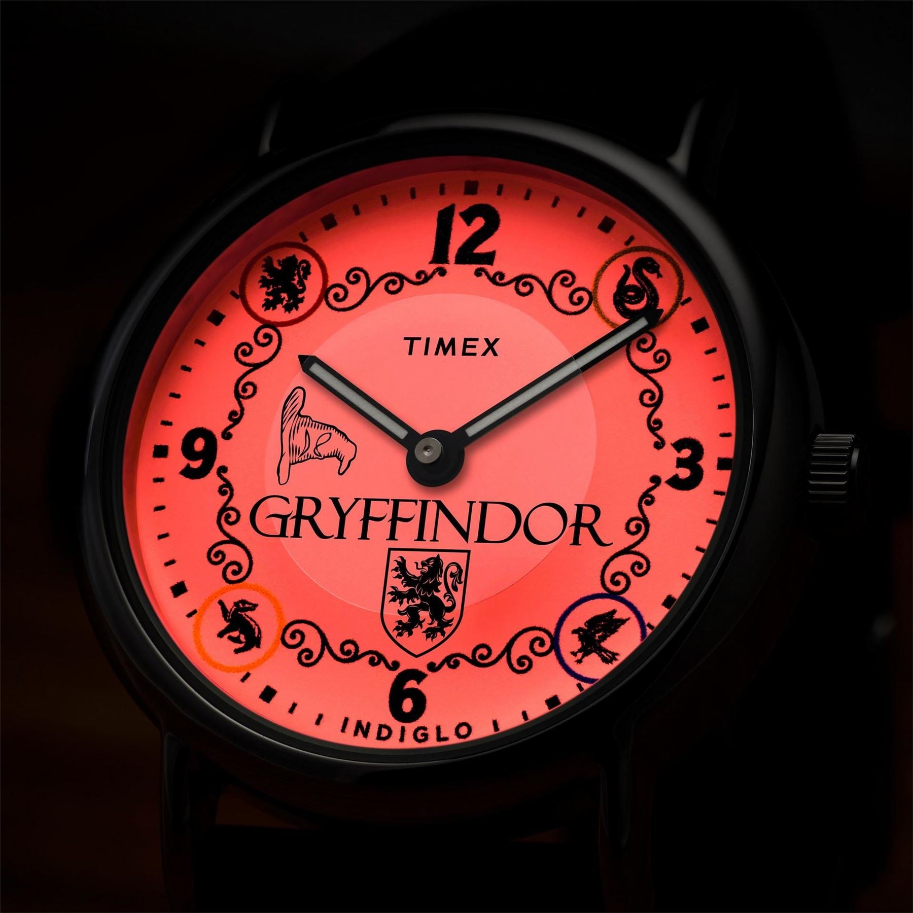 Timex Potter Quartz Analogue Watch