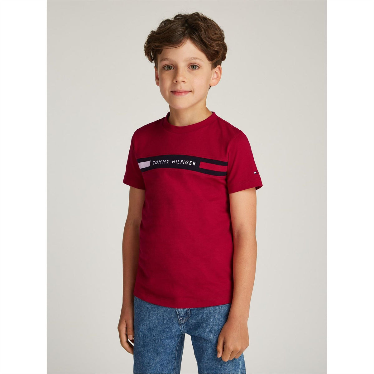 Tommy Hilfiger Regular Fit Crew Neck Short Sleeve T-Shirt