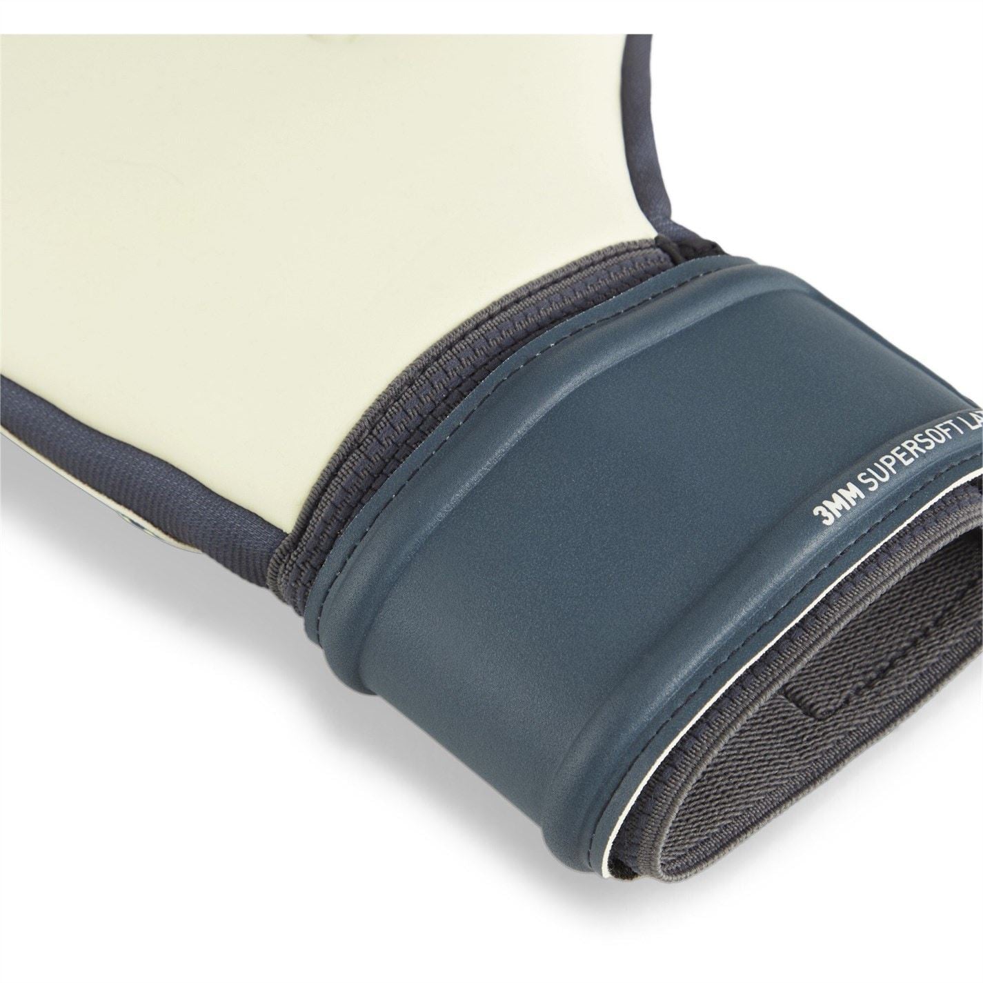 Puma Future Match Goalkeeper Gloves Adults