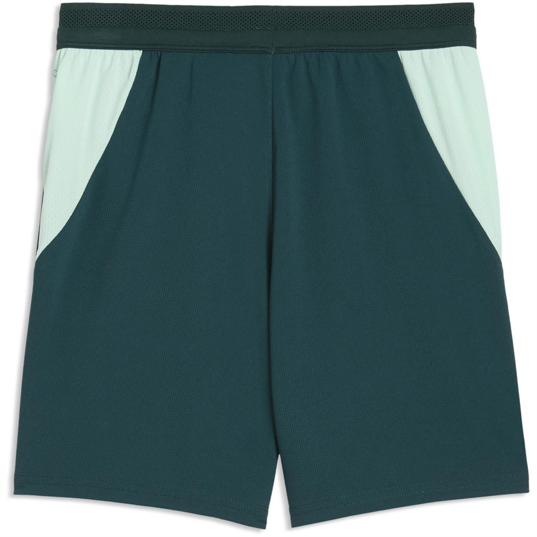 Puma Kids Austria Fifa World Cup 2026™ Football Shorts