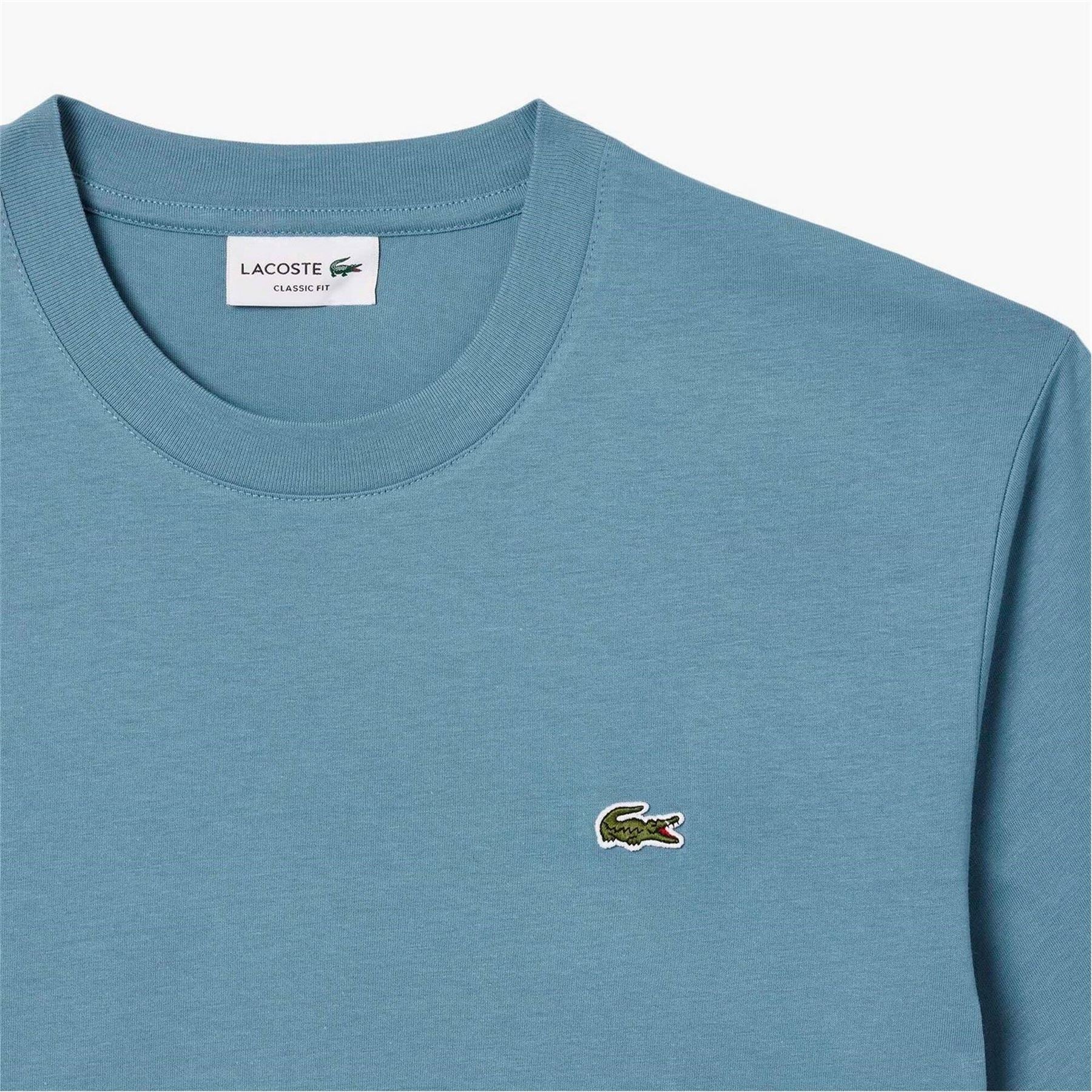 Lacoste Regular Fit Small Logo T-Shirt
