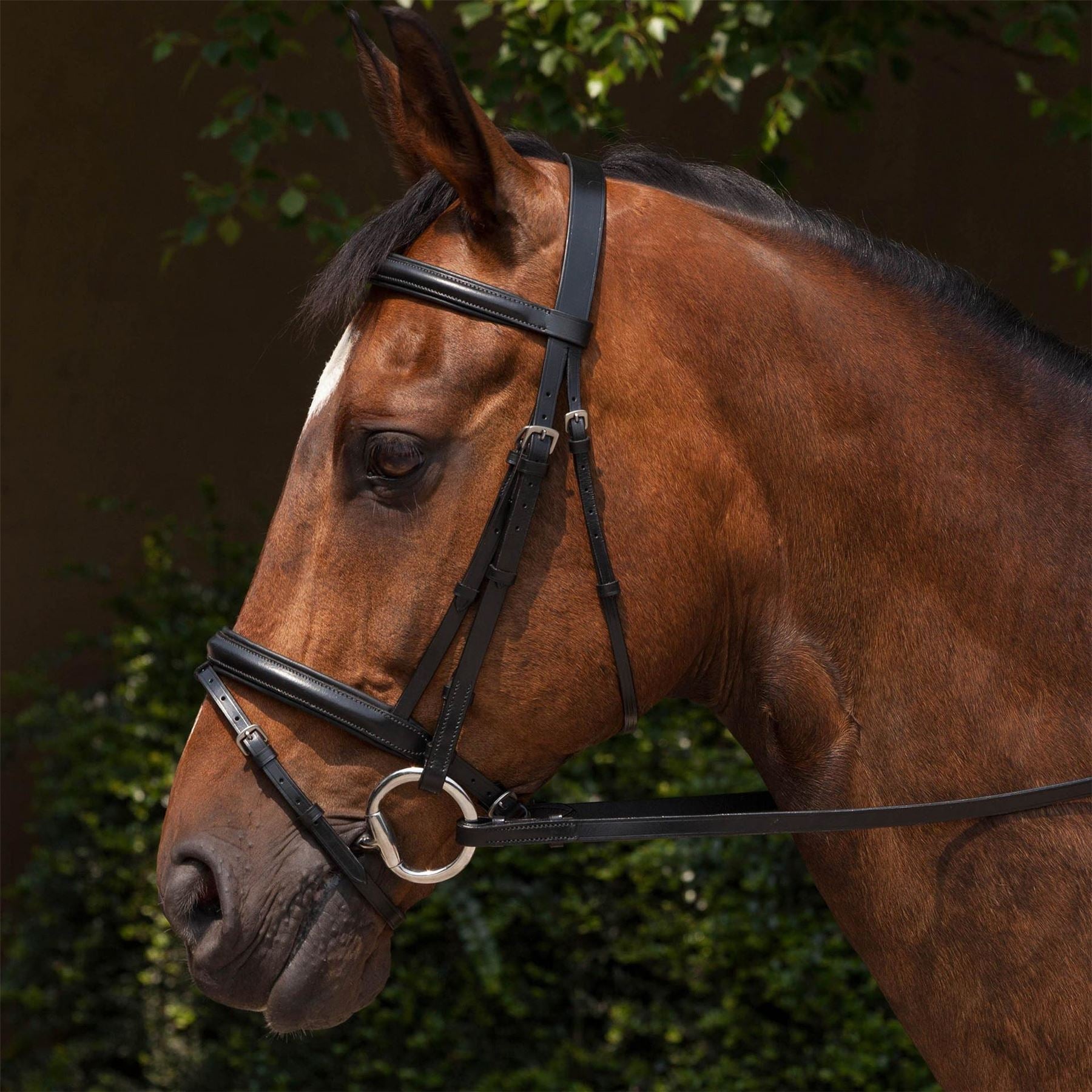 Requisite Padded Flash Bridle And Reins