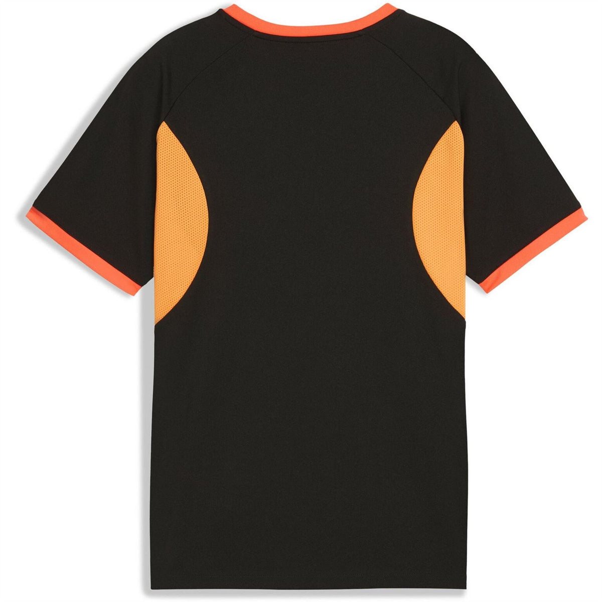 Puma Individualliga Graphic Jersey Jr T-Shirt Unisex Kids