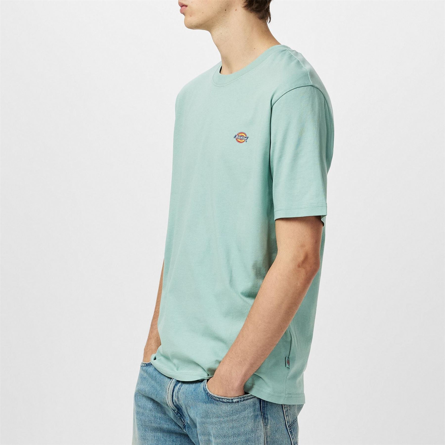Dickies Regular Fit Mapleton T-Shirt