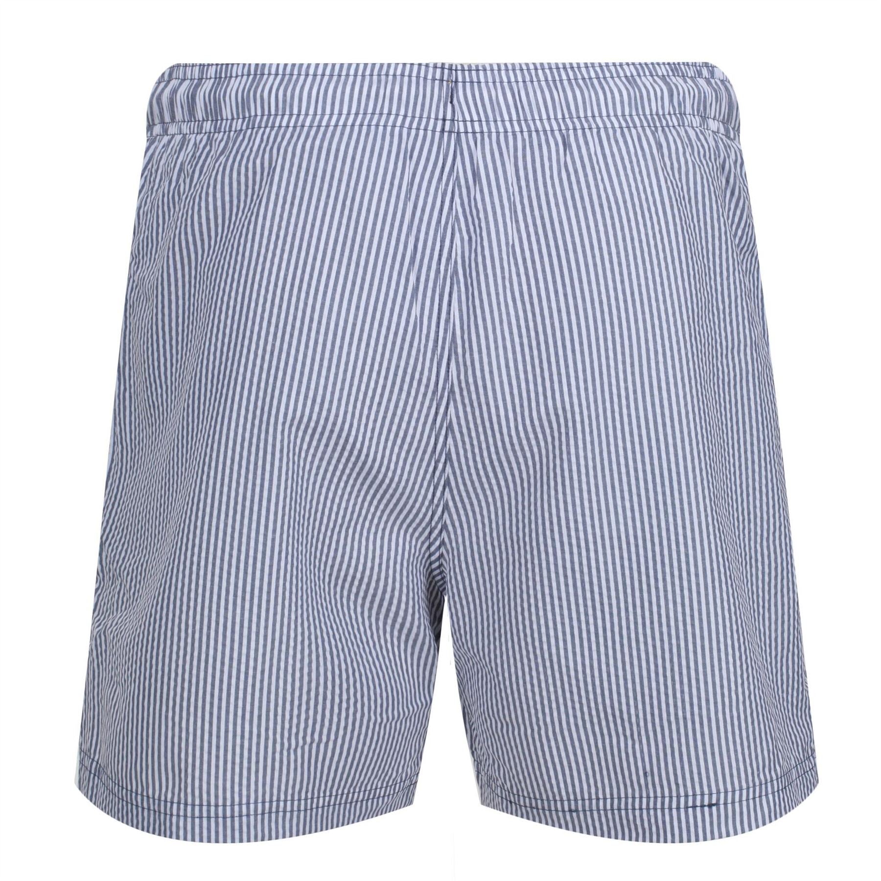 Regatta Loras Vertical Stripe Swim Trunk