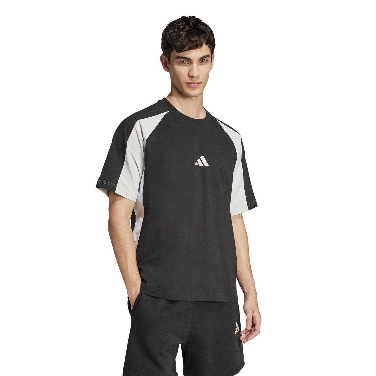 adidas Mens Seasonal Essentials Colorblock T-Shirt
