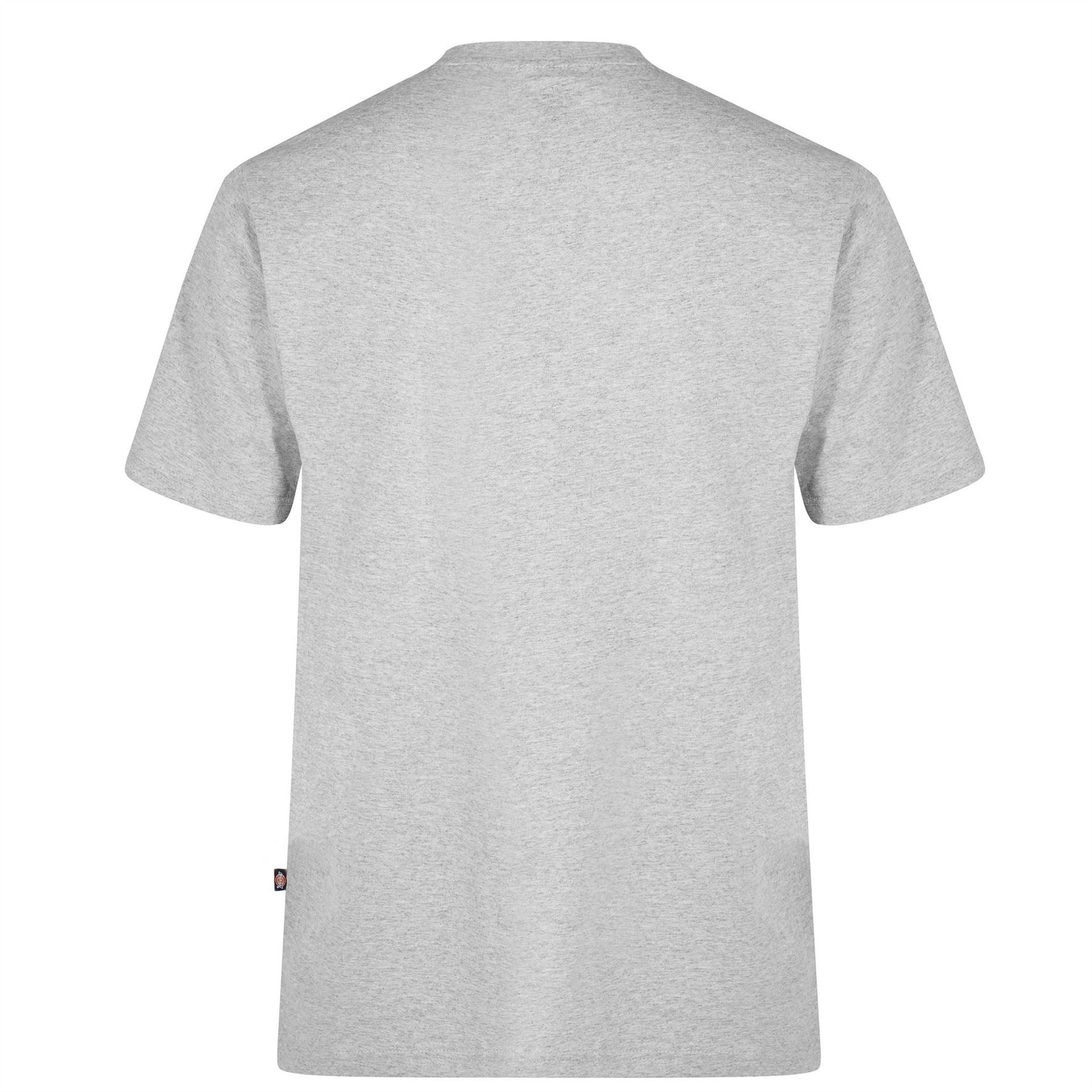 Dickies Regular Fit Mapleton T-Shirt