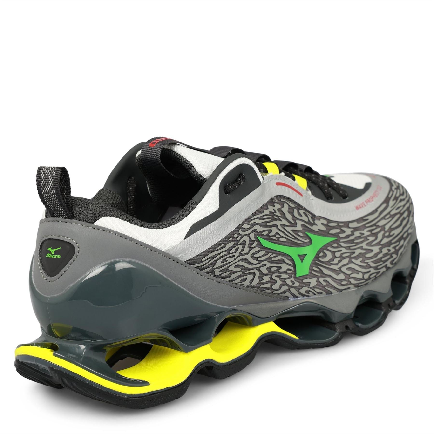 Mizuno Wave Prophecy