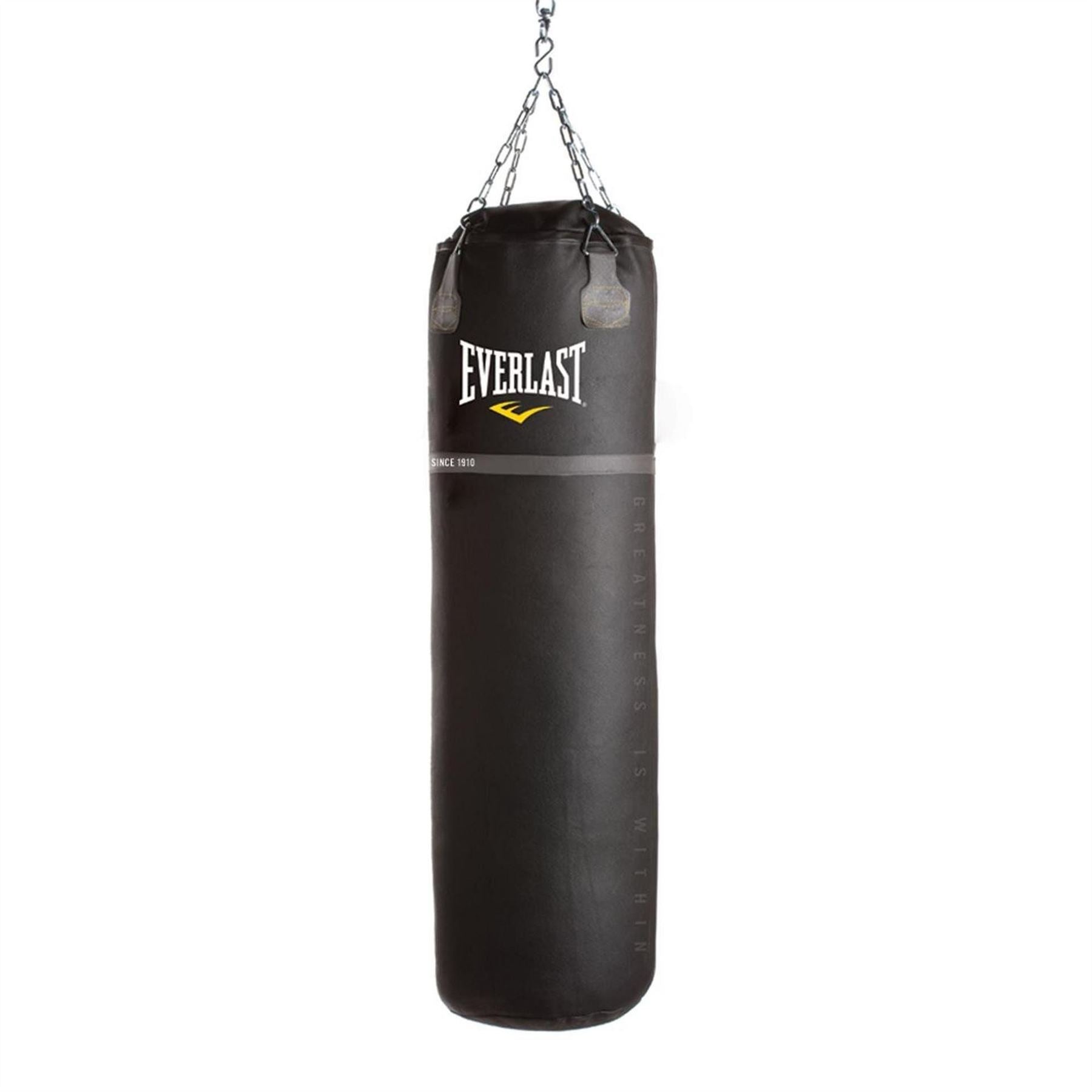 Everlast Leather Heavy Bag
