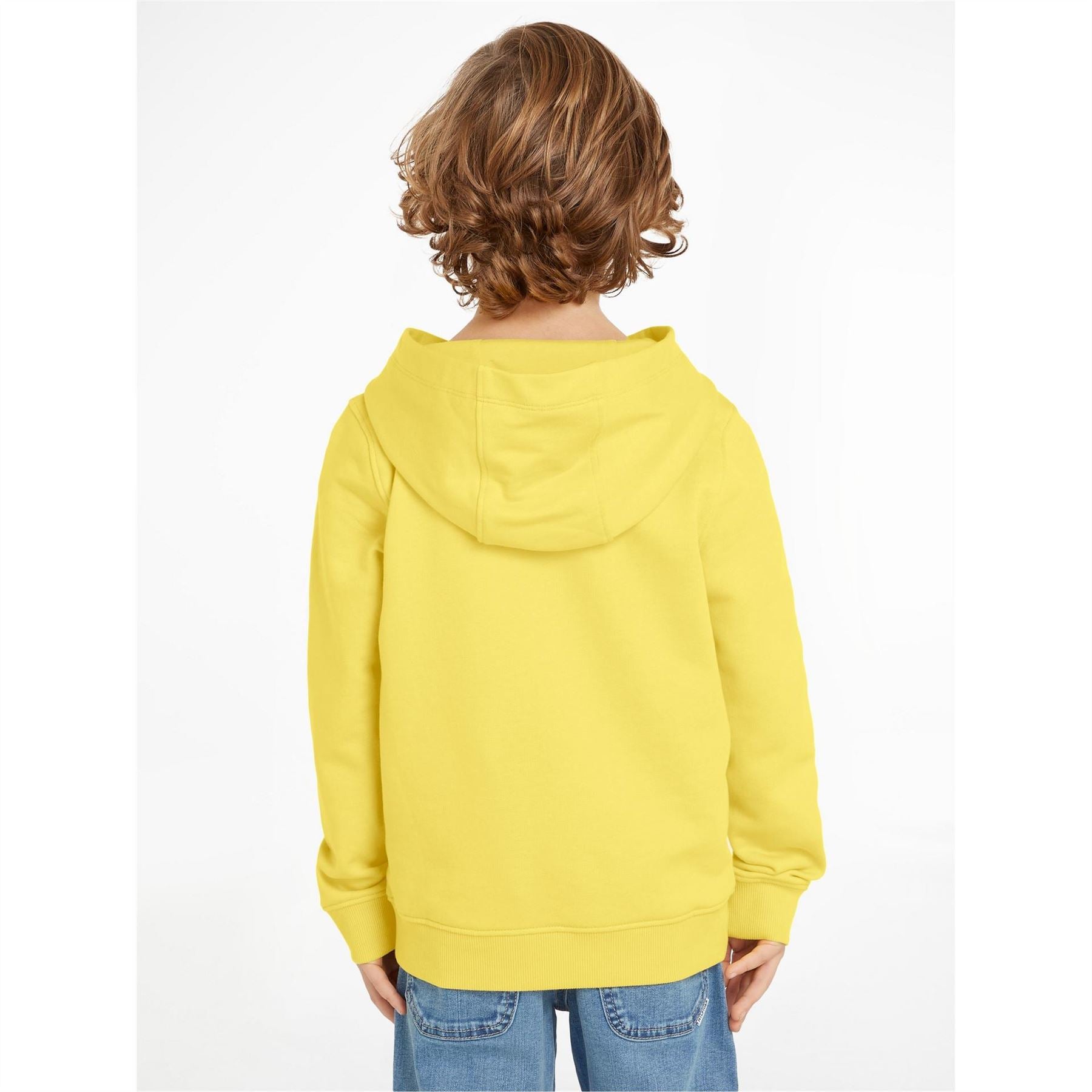 Tommy Hilfiger Logo Hoodie