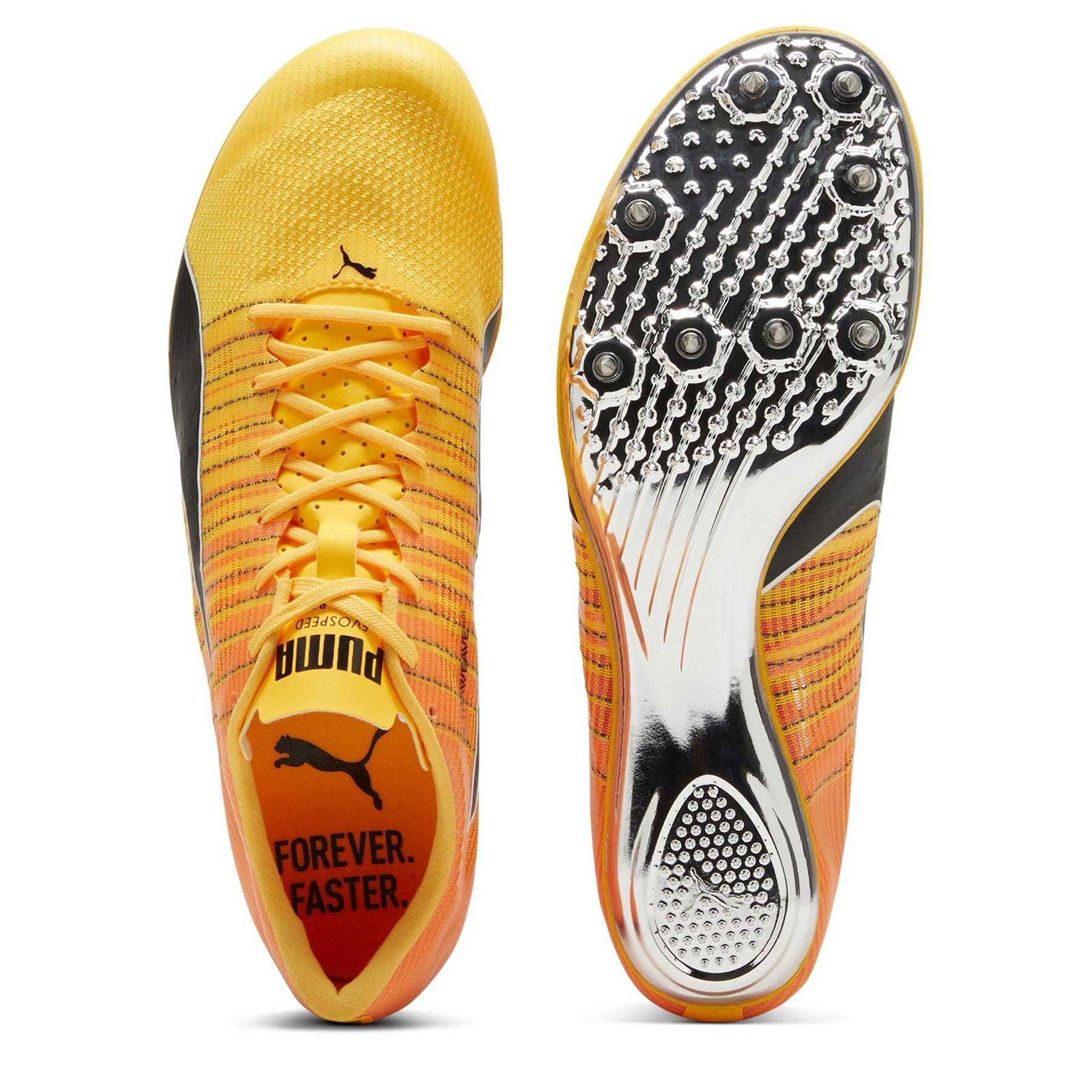 Puma Evospeed Brush 6 Track Running Spikes
