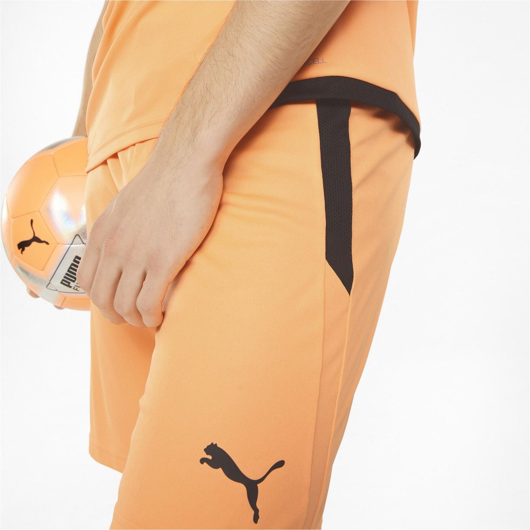 Puma Mens Teamliga Shorts Football Shorts