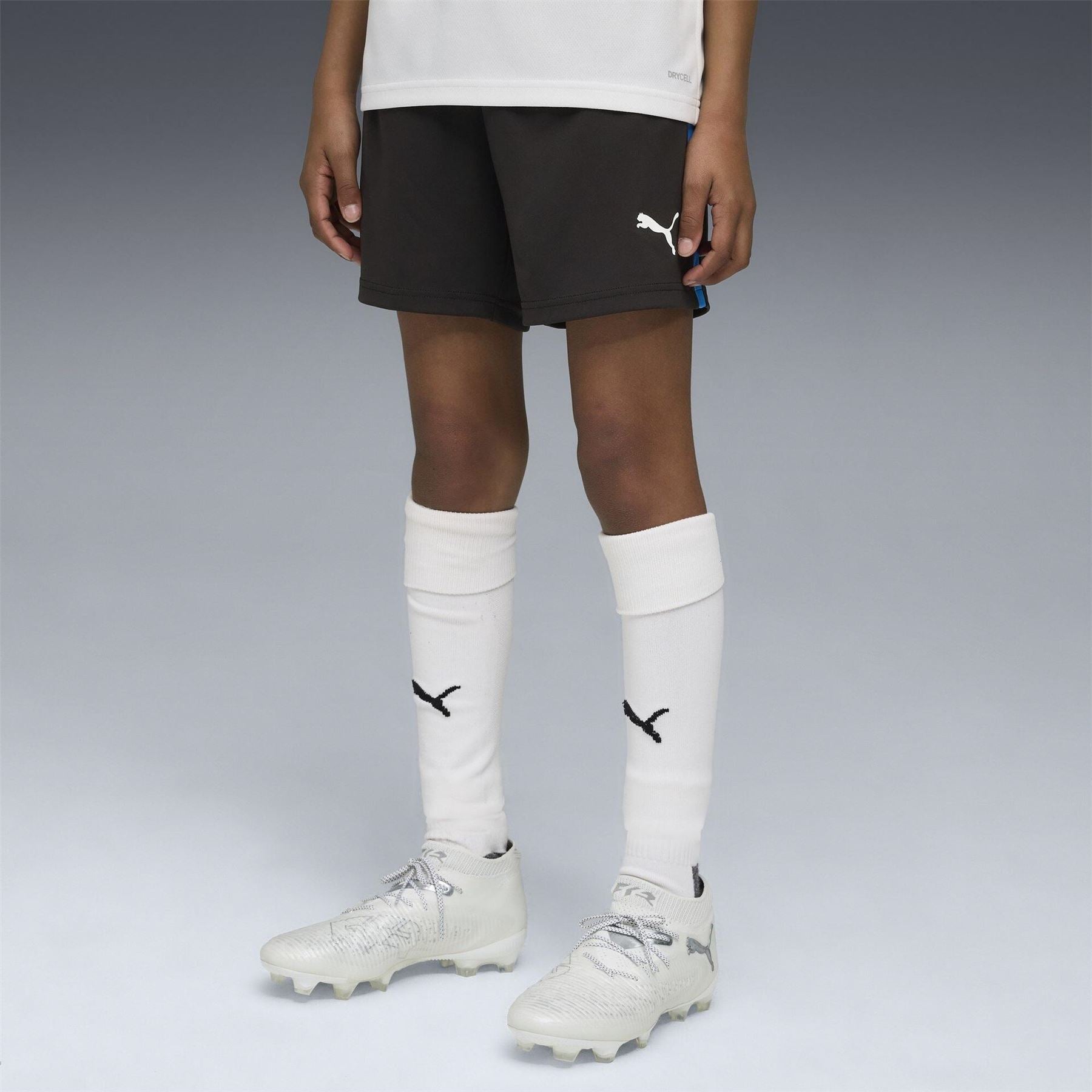 Puma Individualliga Training Football Shorts