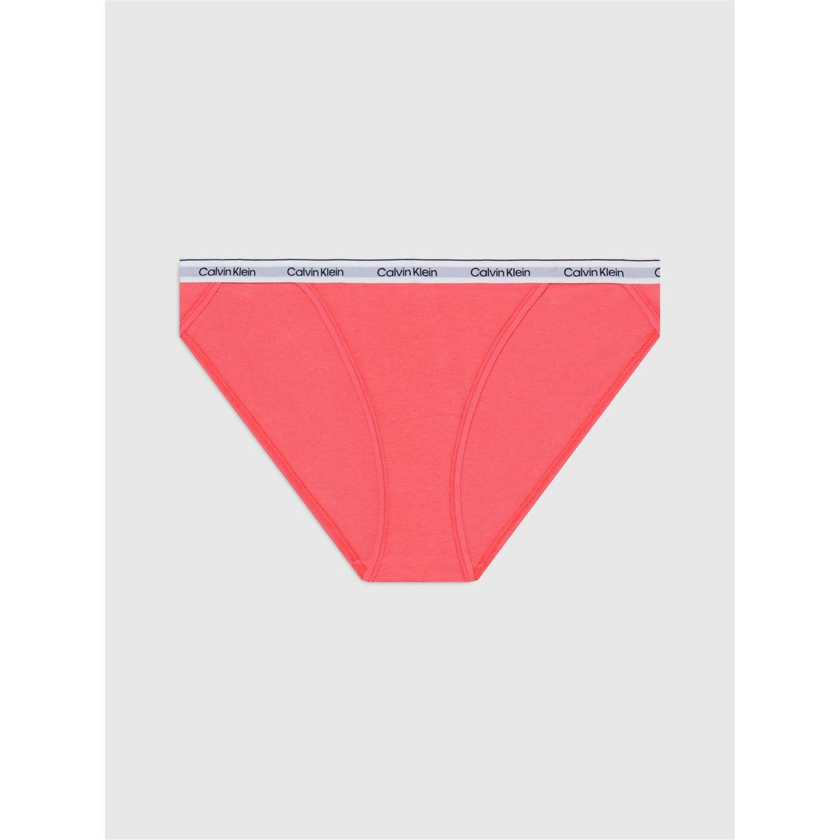 Calvin Klein Briefs