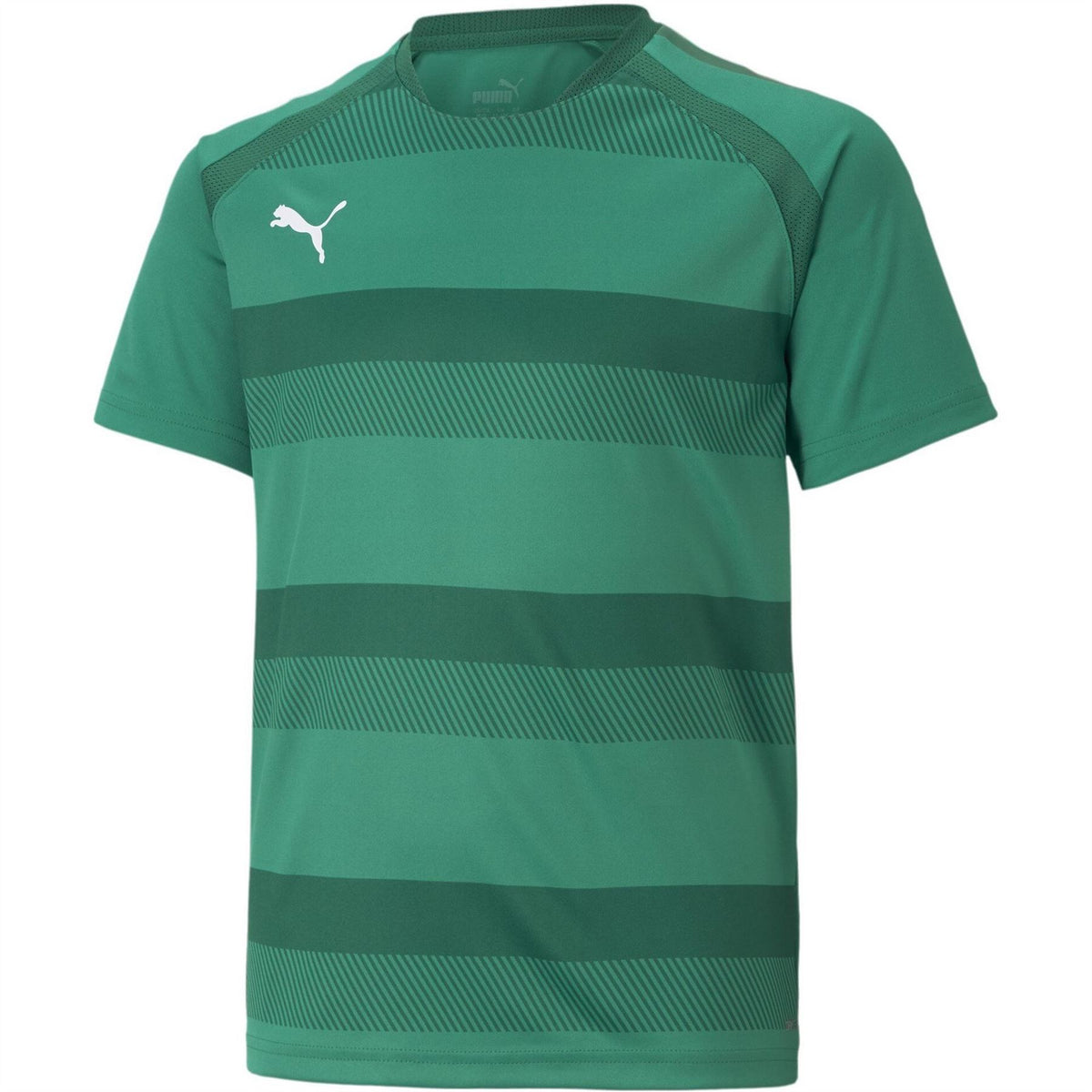 Puma Teamvision Jersey Jr T-Shirt Unisex Kids