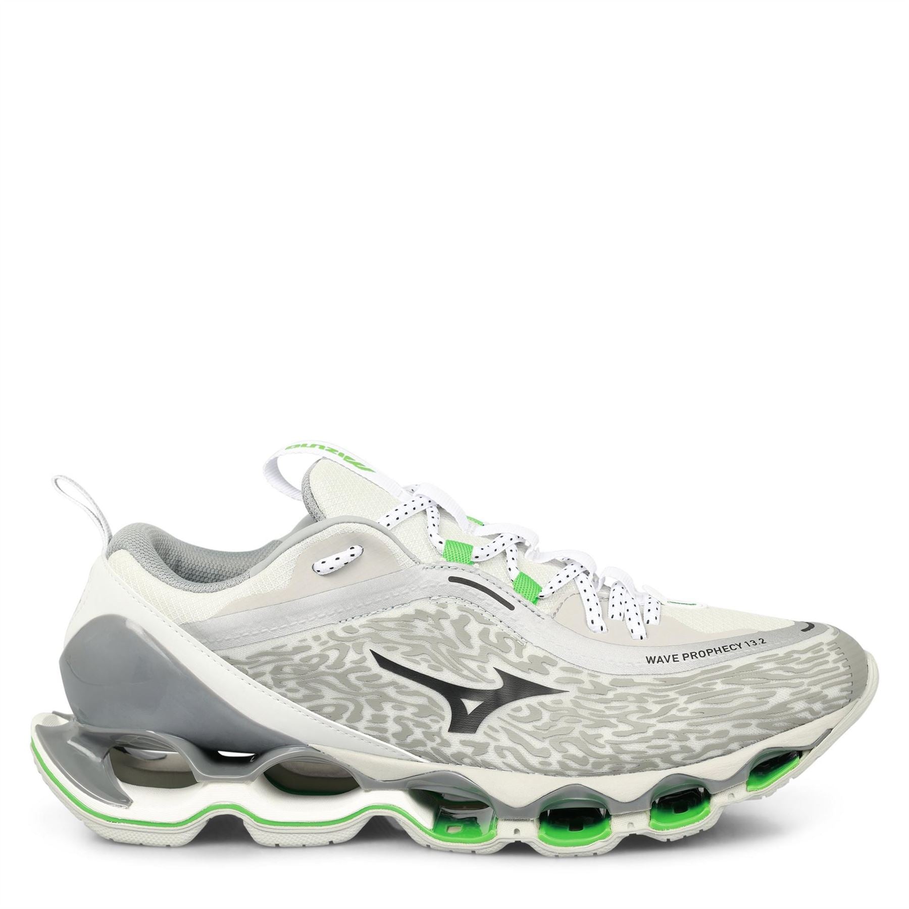 Mizuno Wave Prophecy