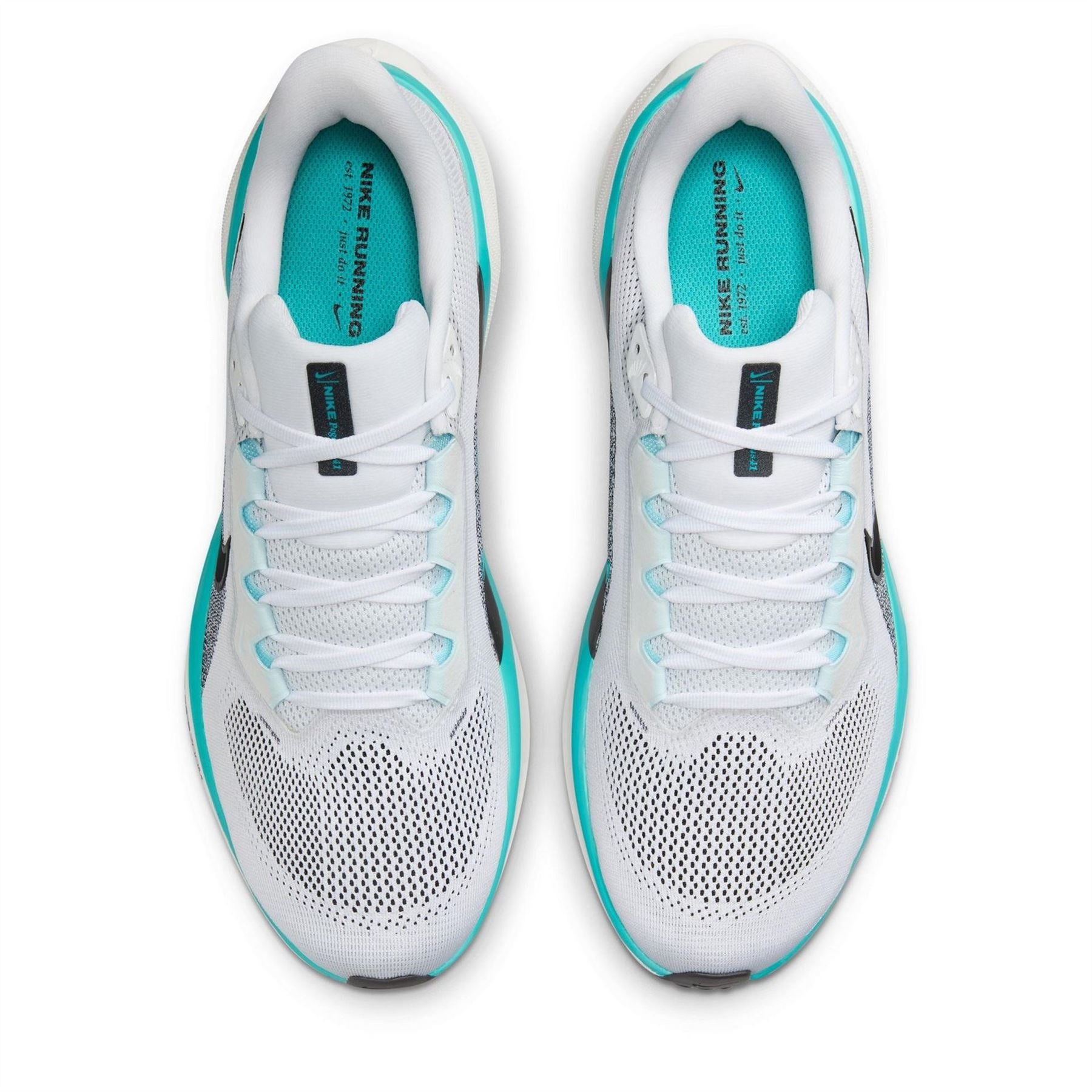 Nike Mens Pegasus 41 Road Running Shoes