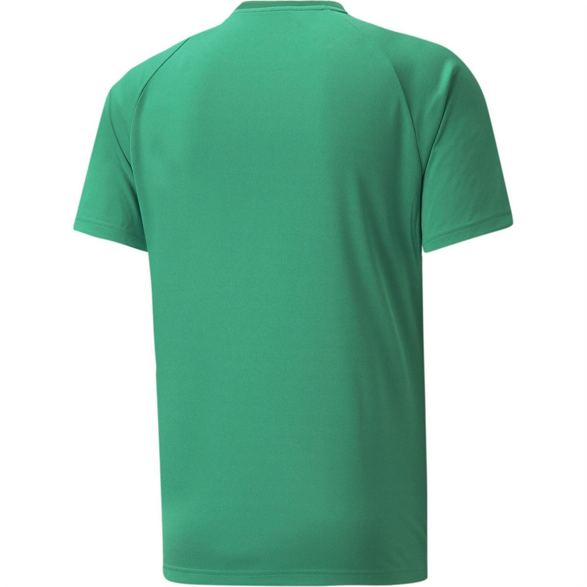 Puma Mens Teamvision Jersey T-Shirt
