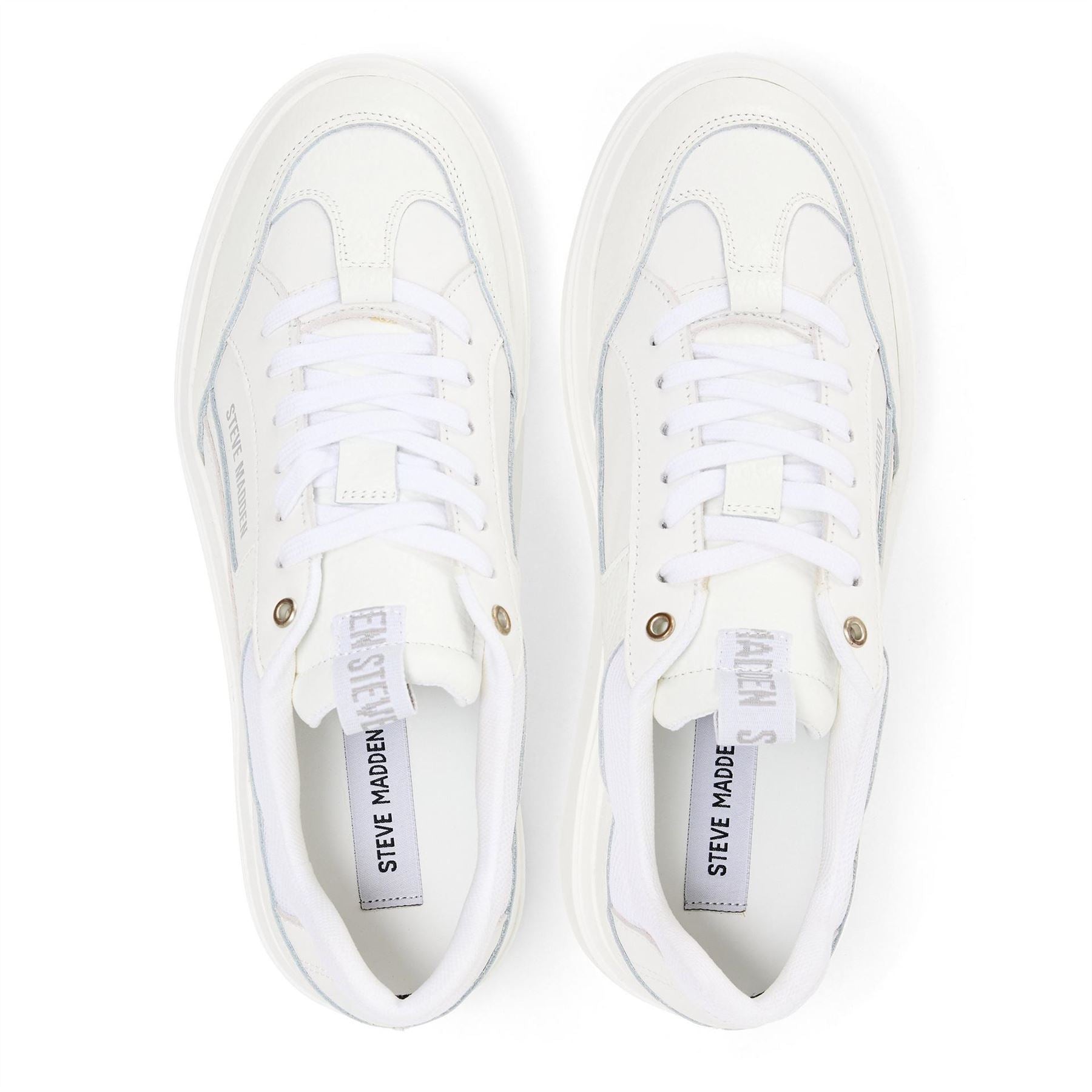 Steve Madden Orlando Low Top Trainers
