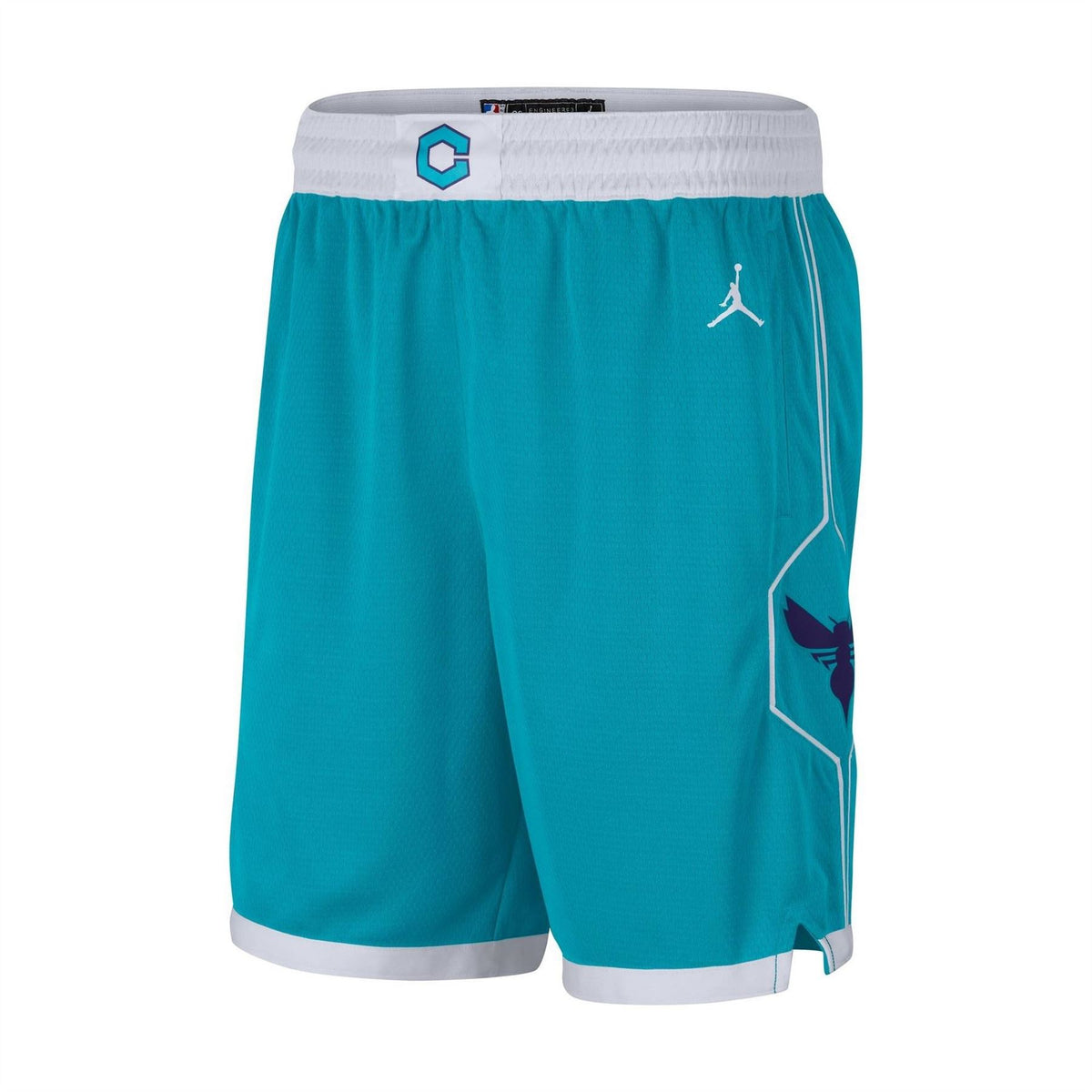 Nike Swingman Basketball Shorts