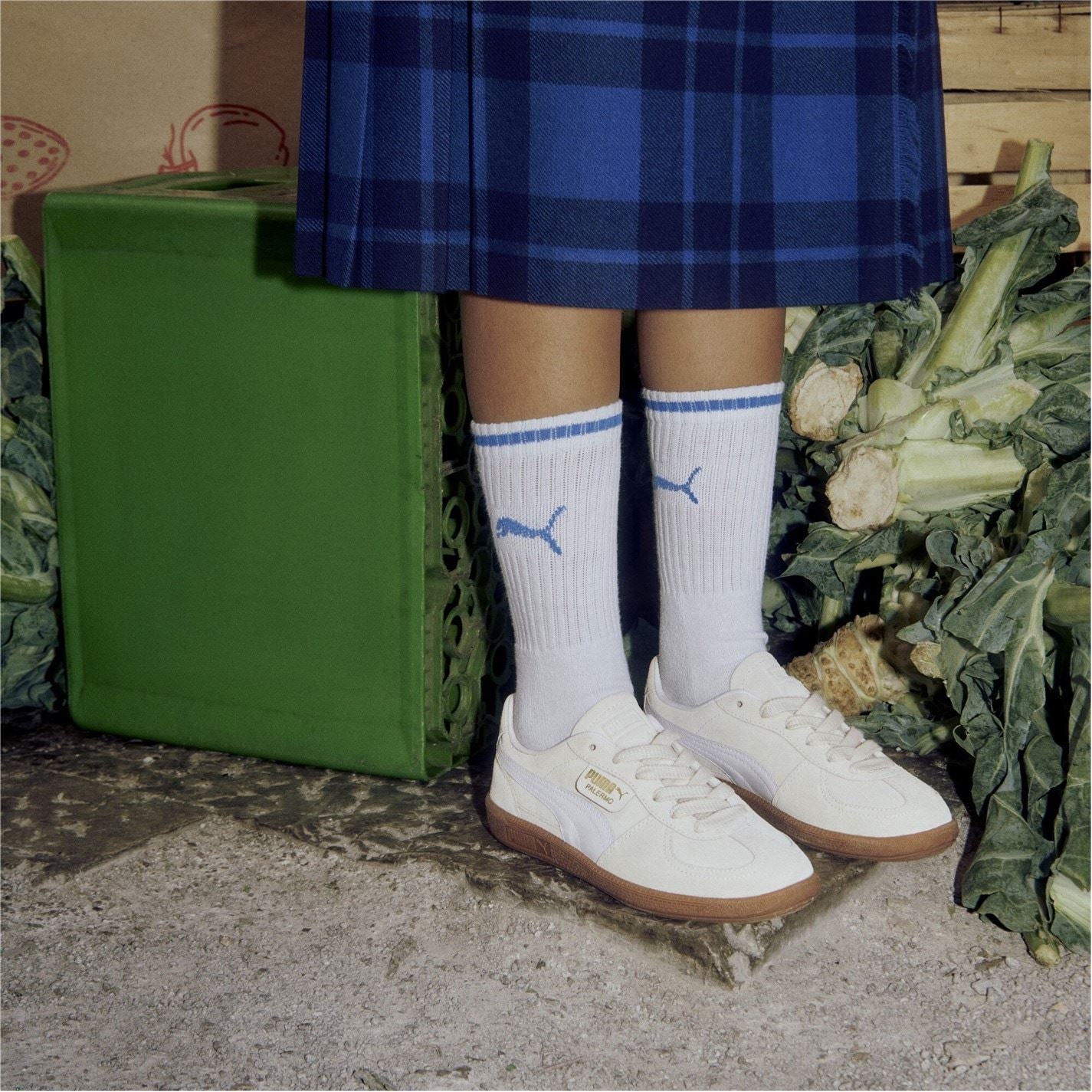 Puma Womens Palermo Trainers