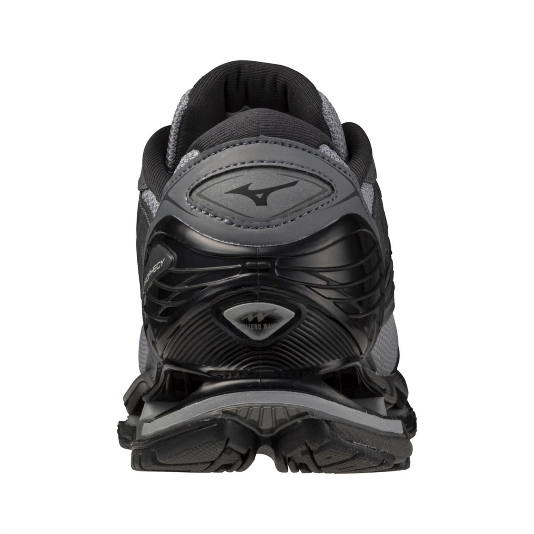 Mizuno Wave Prophecy