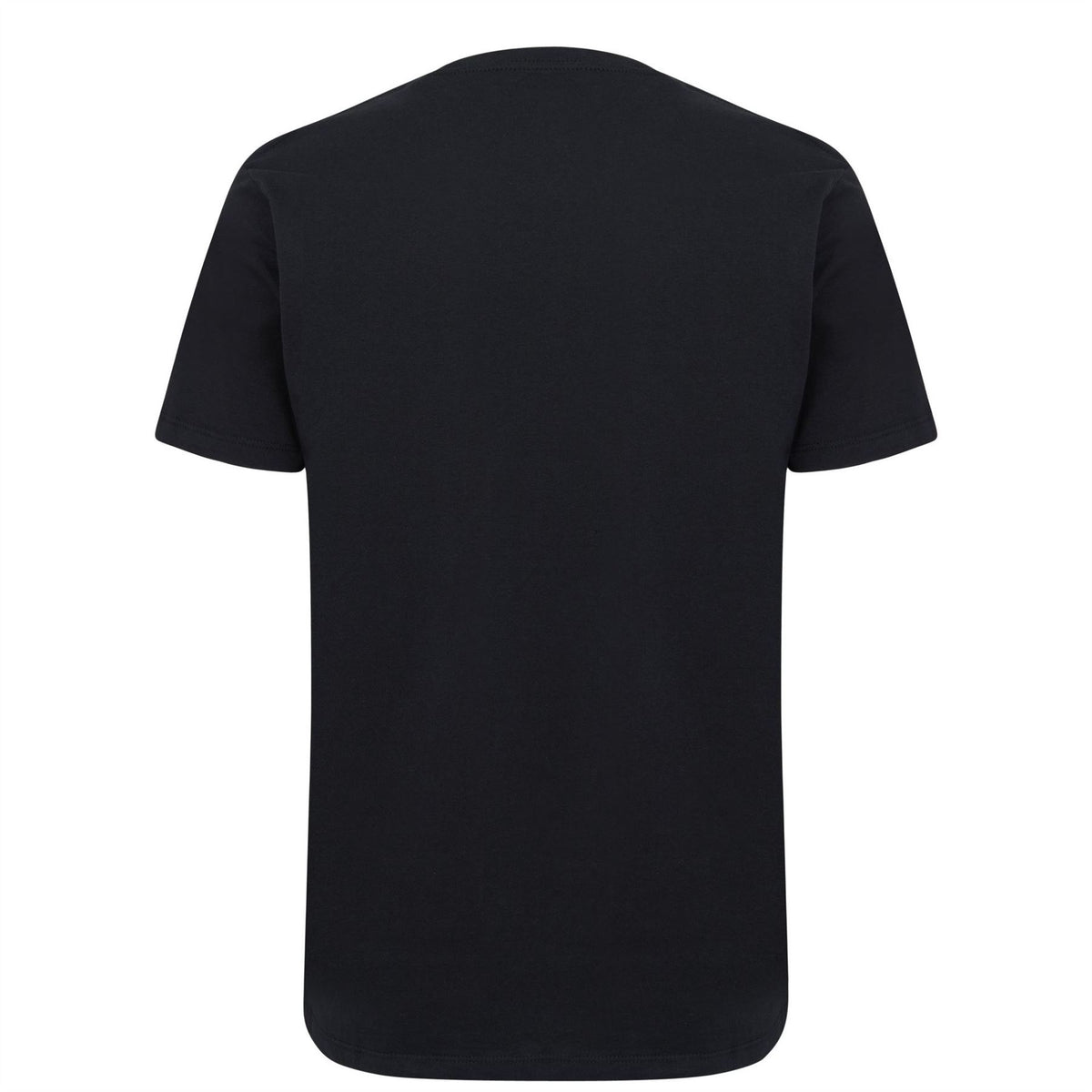Golds Gym Mens Gym Muscle Joe T-Shirt