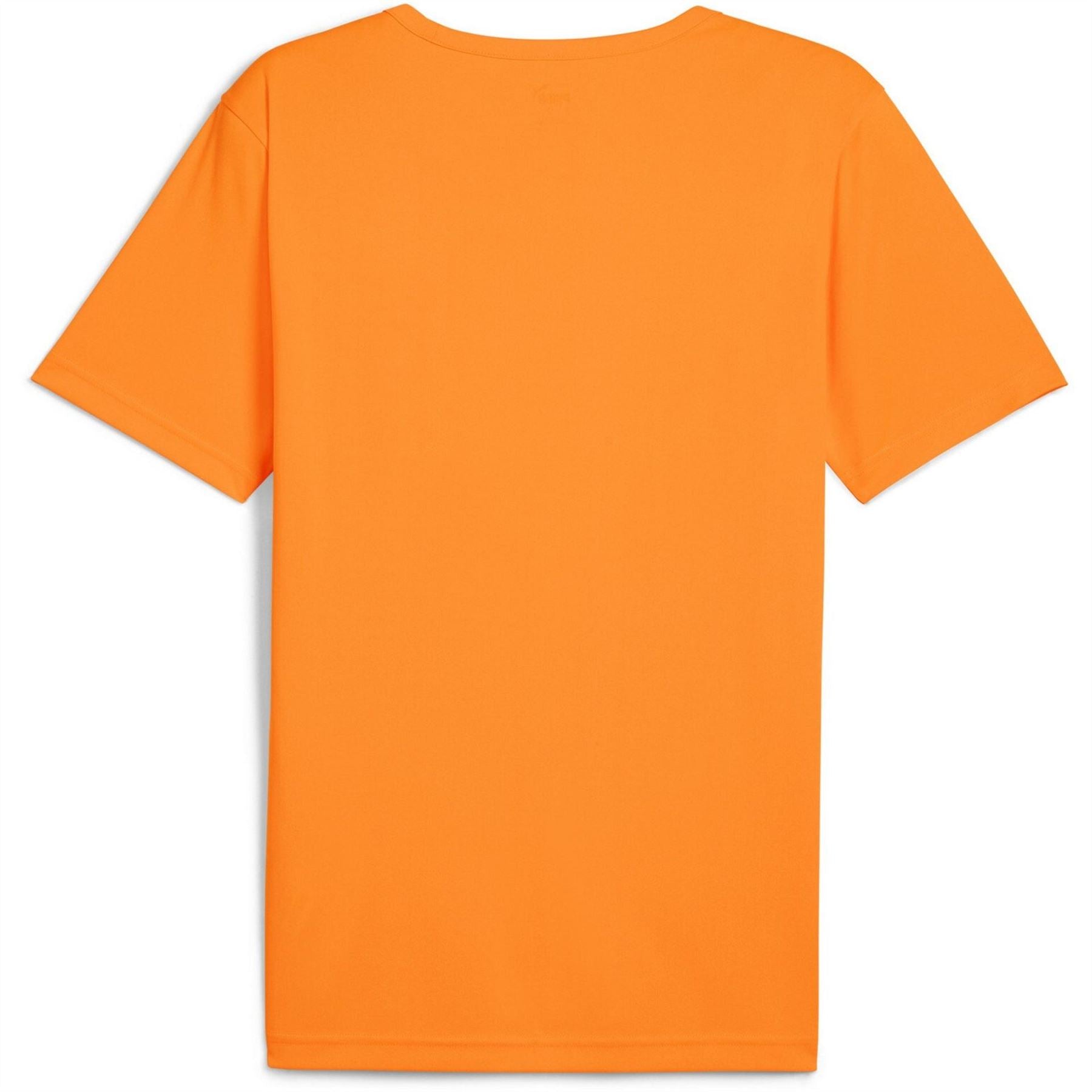Puma Mens Individualrise Graphic Jersey T-Shirt