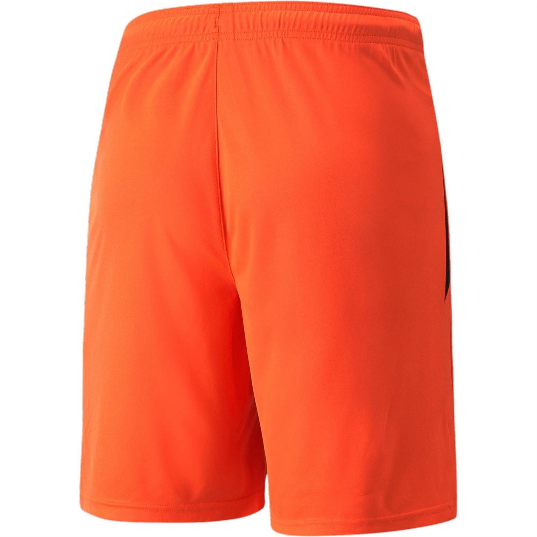 Puma Mens Teamliga Shorts Football Shorts