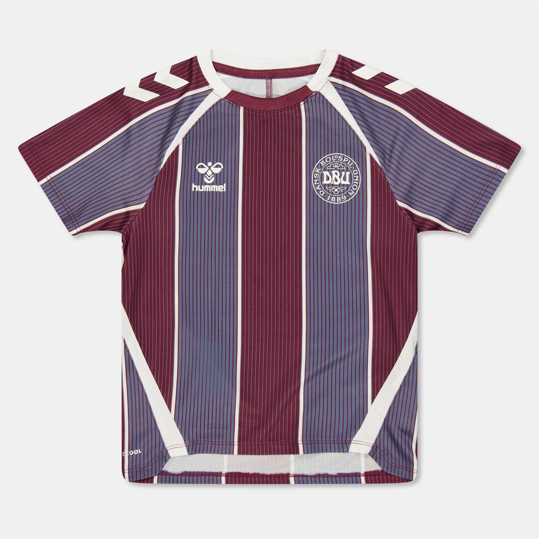 Hummel Denmark Pre Match Junior Raglan Sleeve Shirt