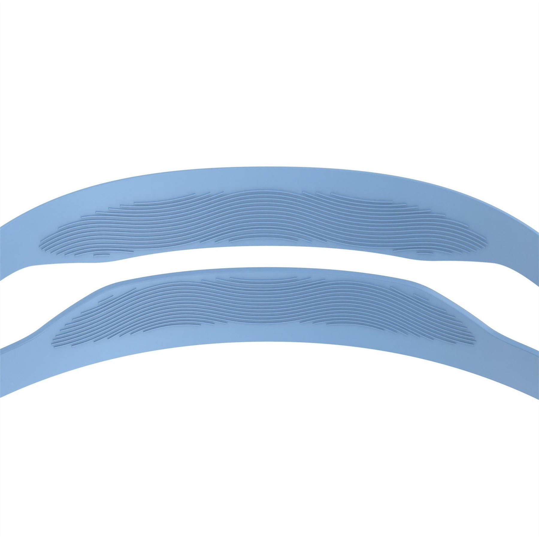 Speedo Goggles