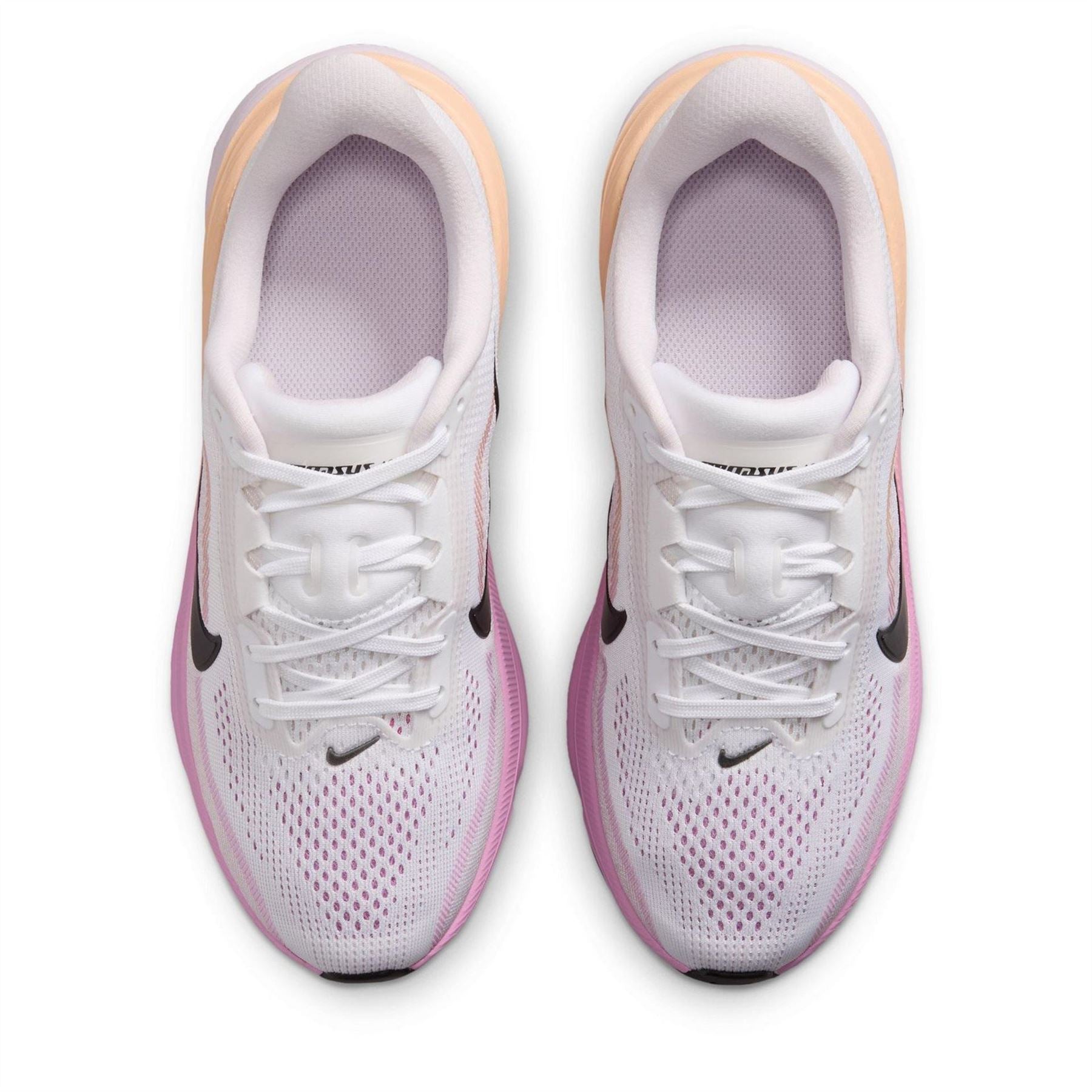 Nike Pegasus 42 Nn Ch71