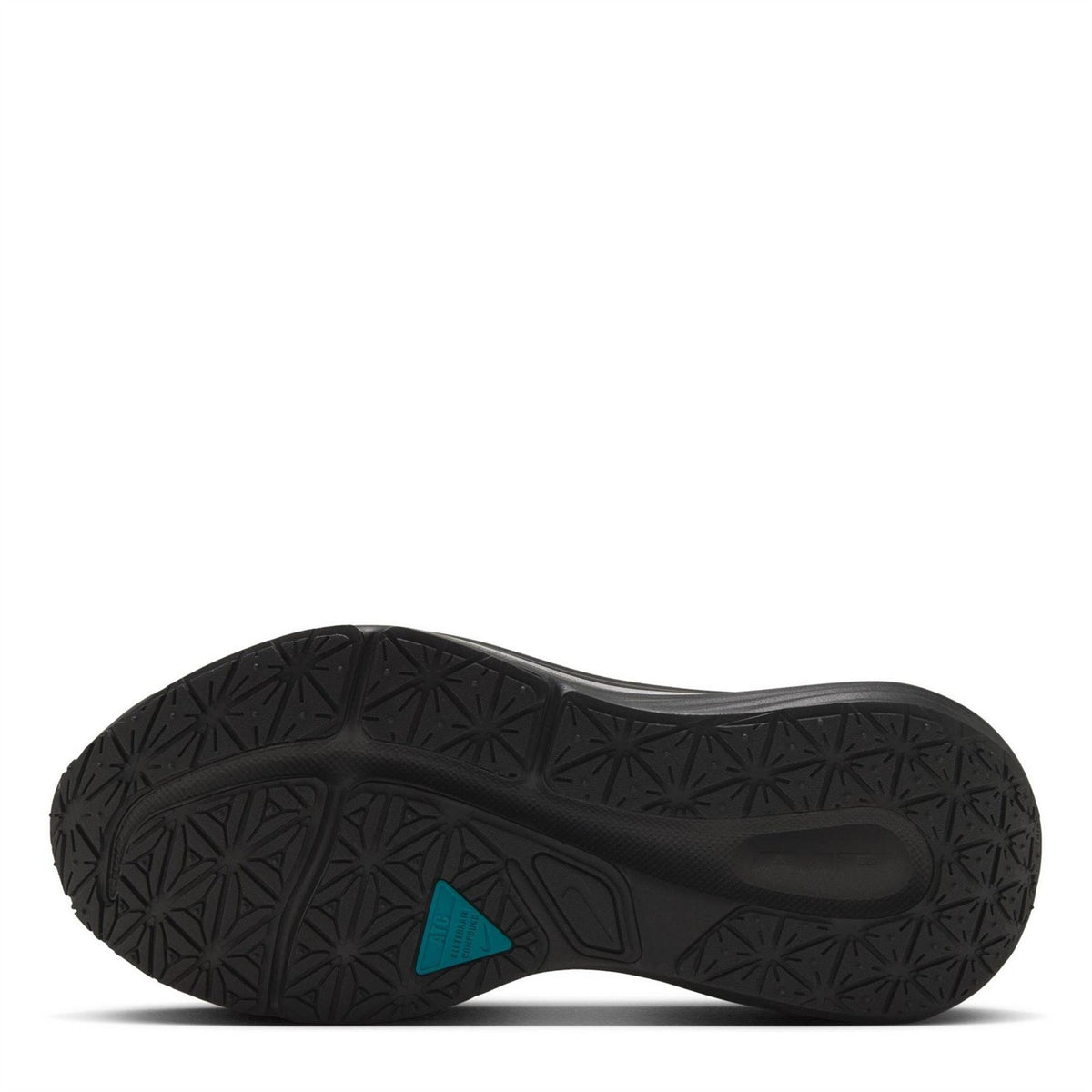 Nike Winflo 12 GorE-Tex Sn71
