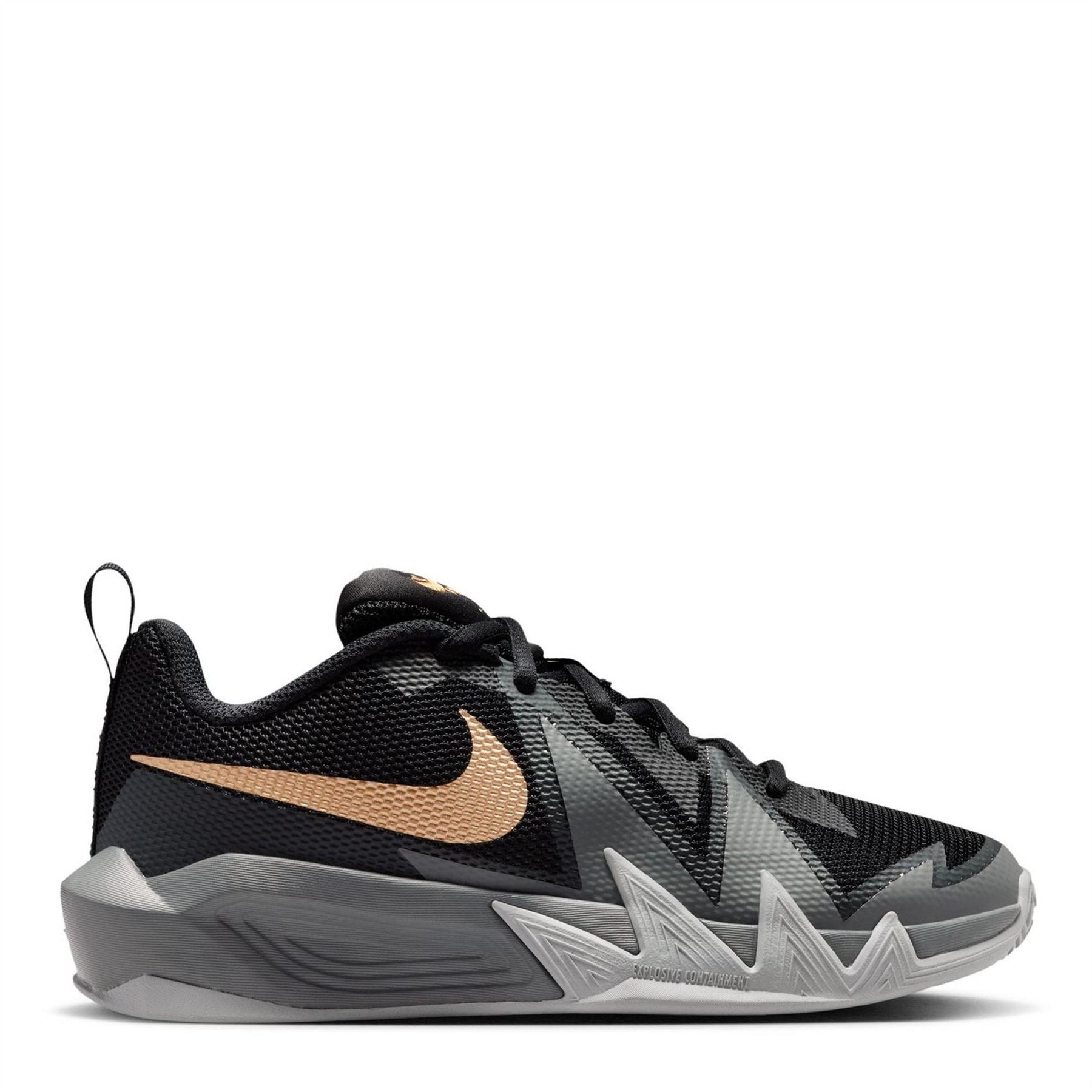 Nike Basketball Trainers