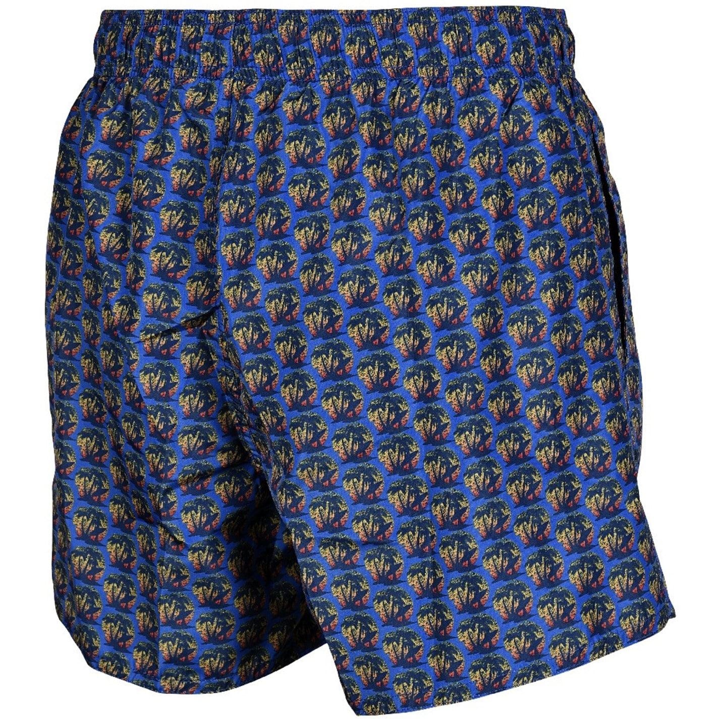 Arena Beach Shorts Allover