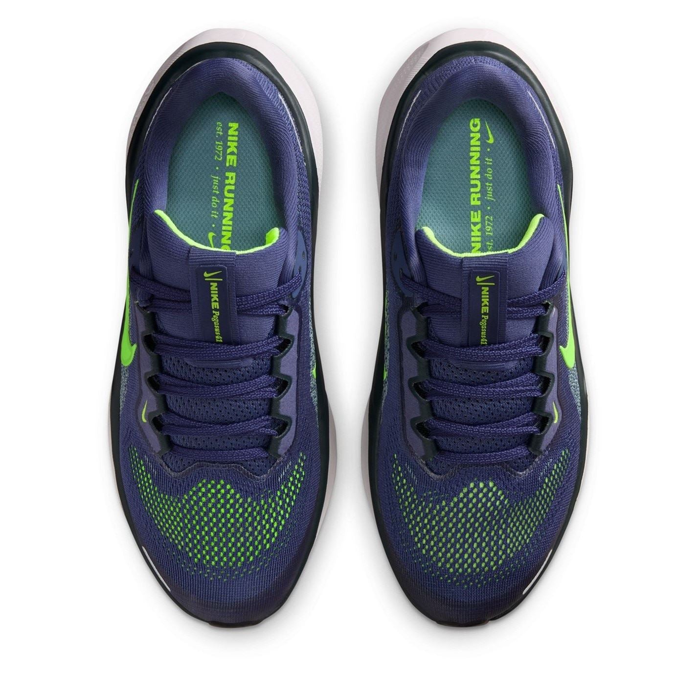 Nike Pegasus 41 Low Top Road Shoes