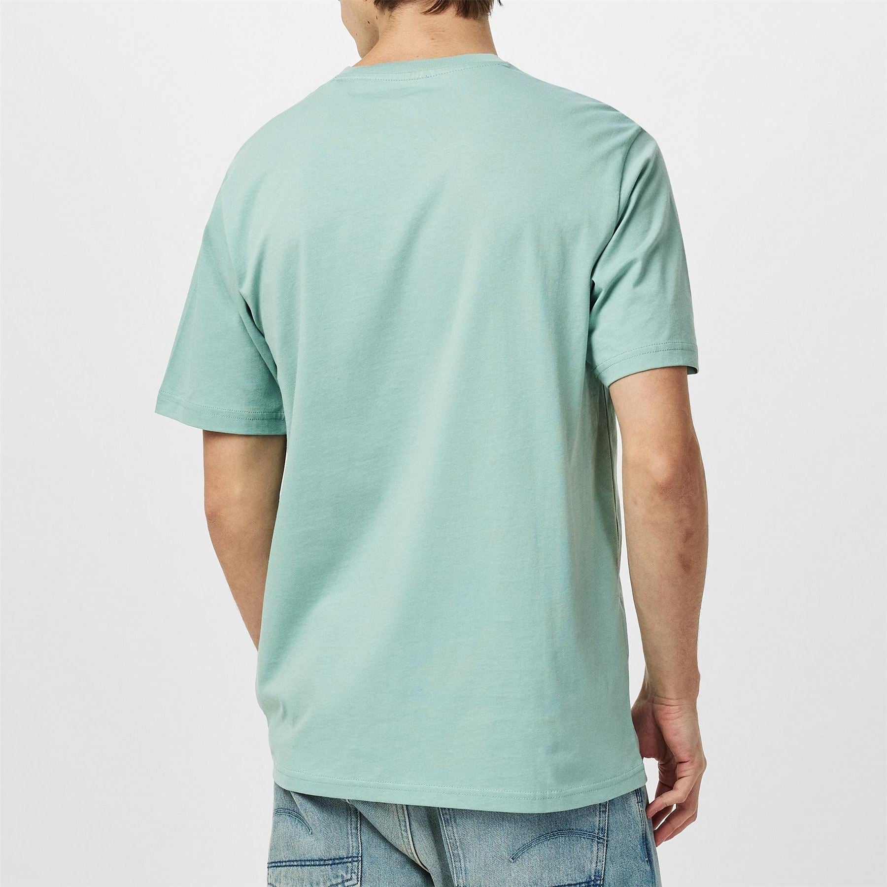 Dickies Regular Fit Mapleton T-Shirt
