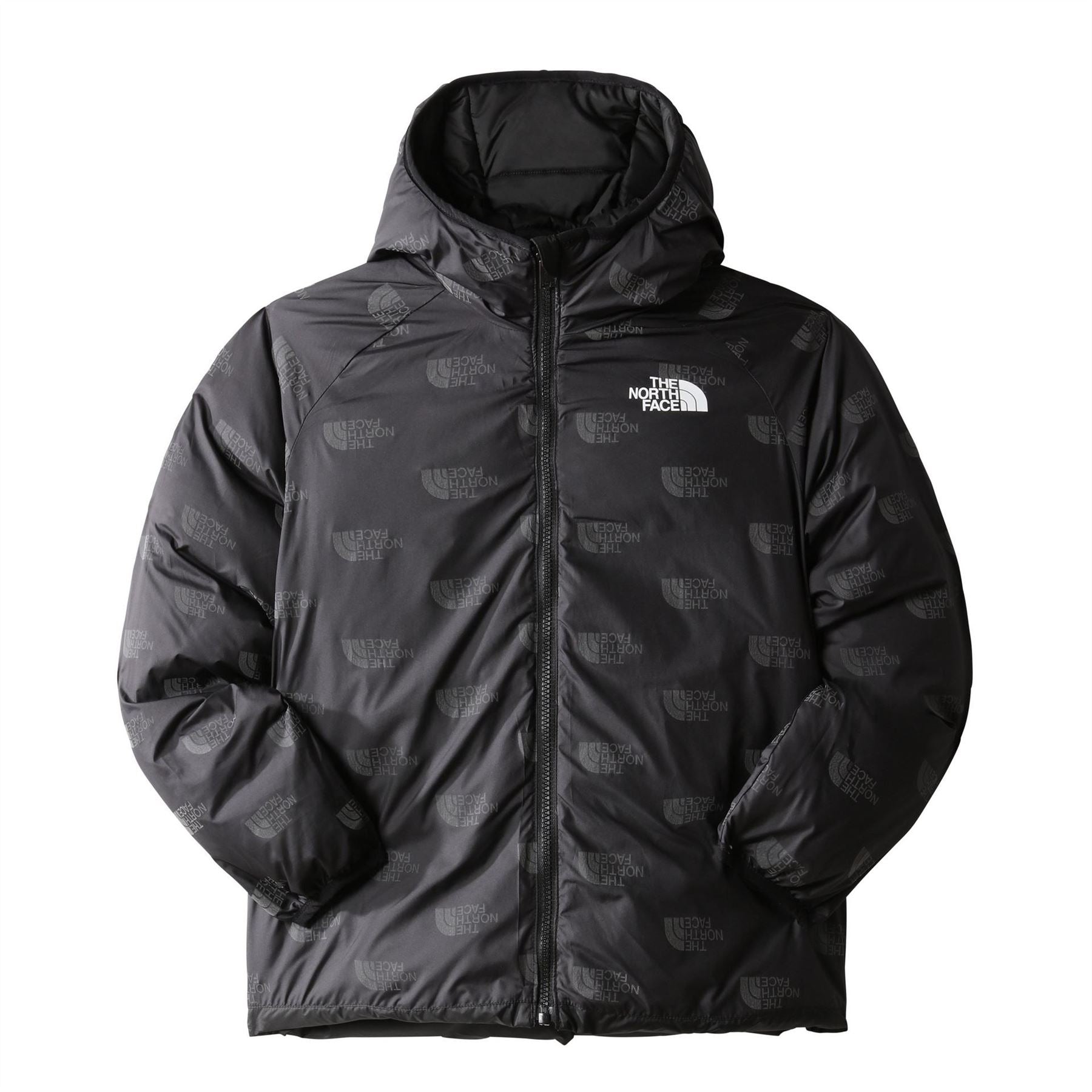 The North Face Reversible North Down Hooded Jacket