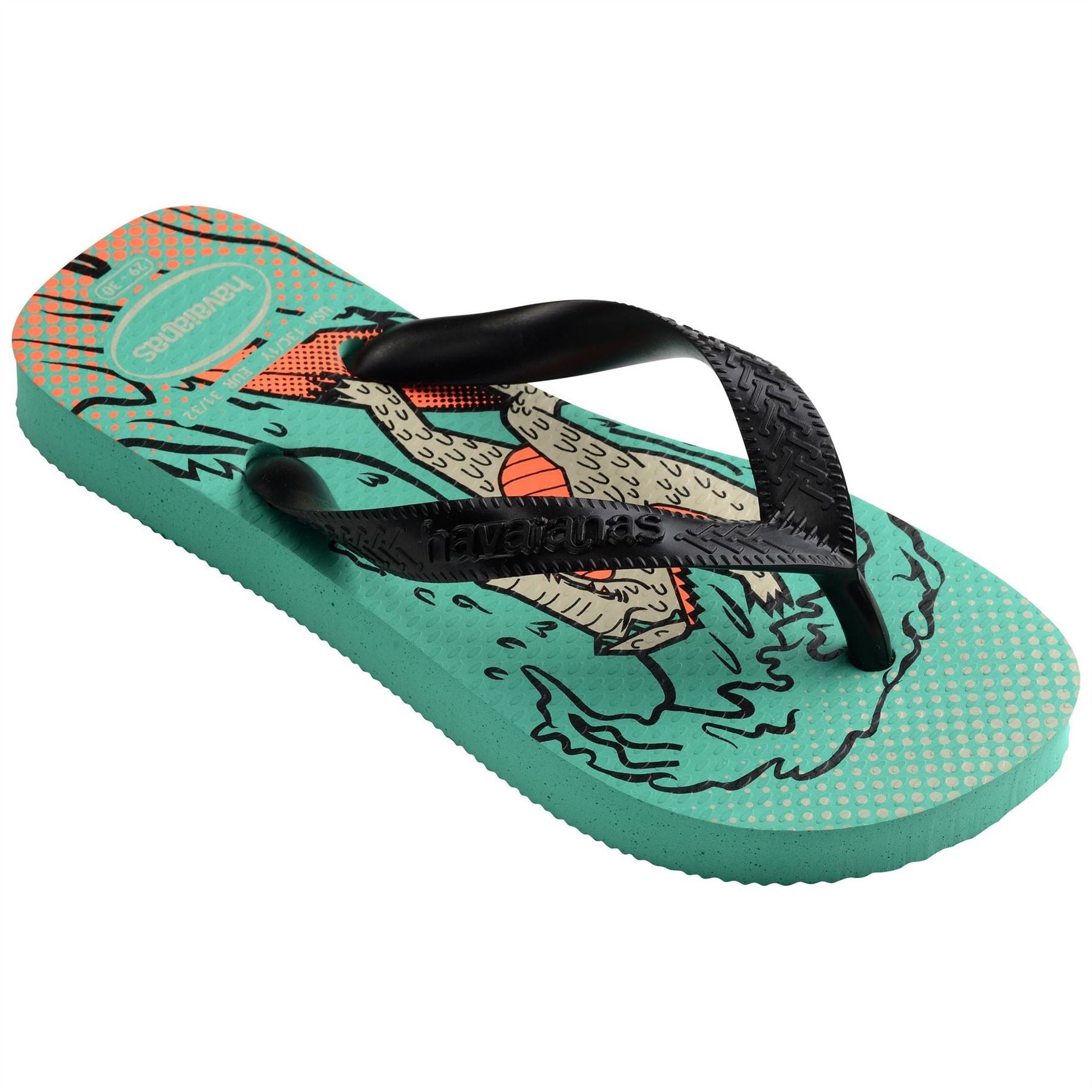 Havaianas Flip Flops