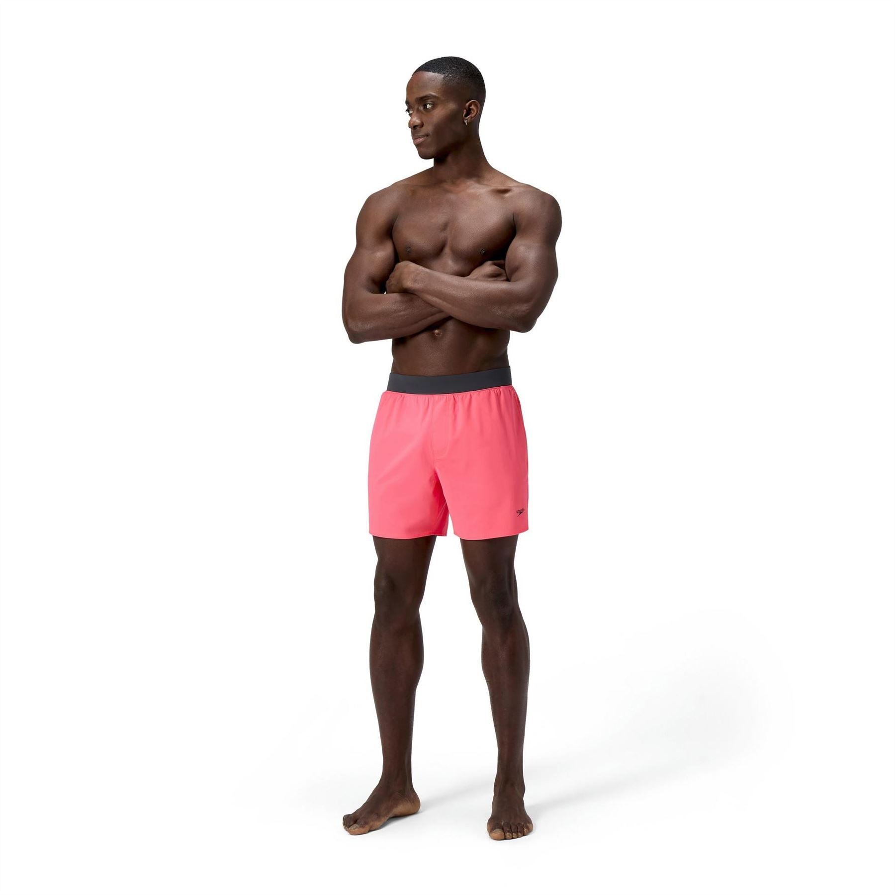 Speedo Slider Lookout V