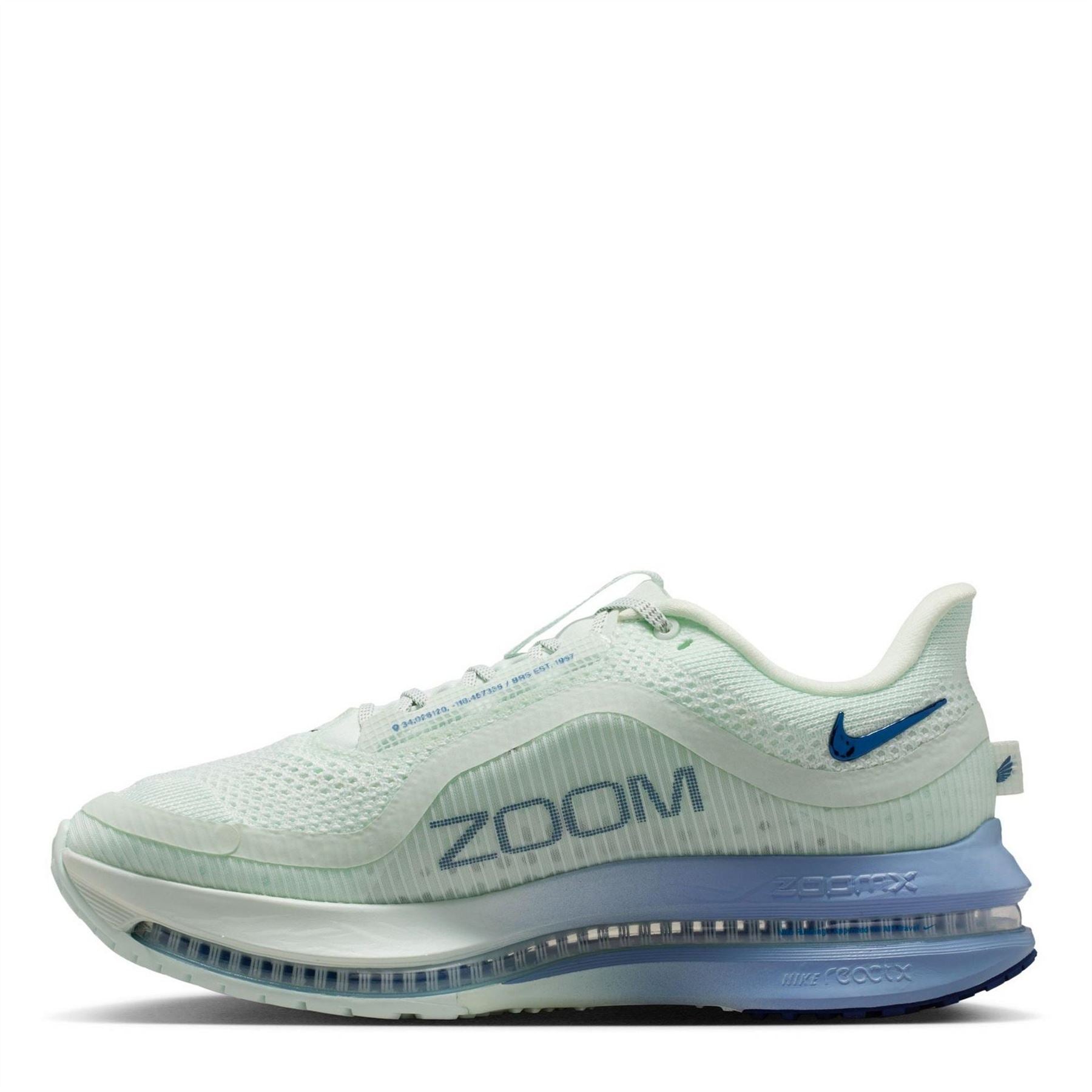 Nike Womens Pegasus Premium Trainers