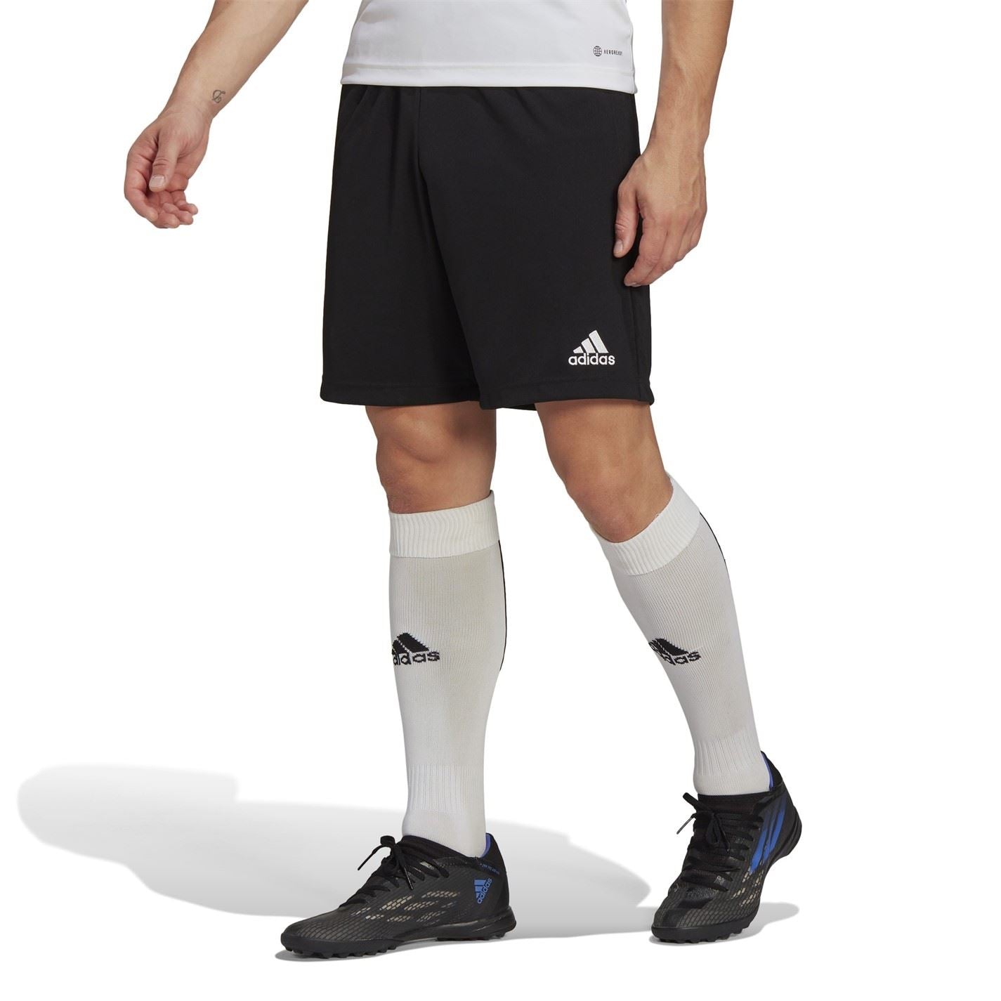 adidas Mens Entrada 22 Training Shorts