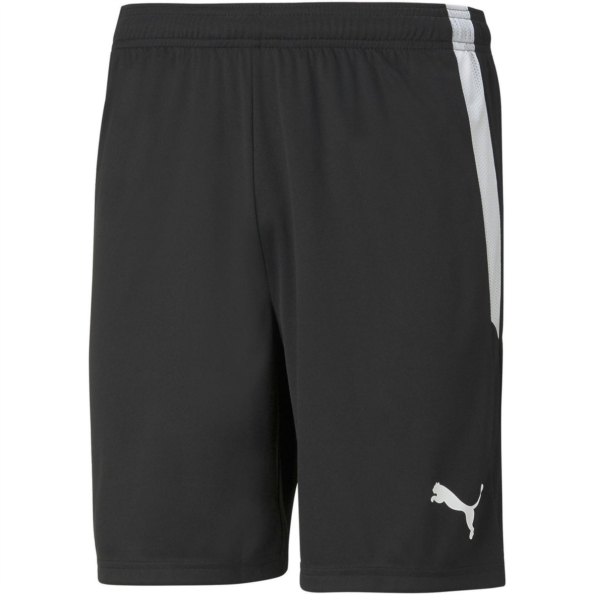Puma Mens Teamliga Shorts Football Shorts