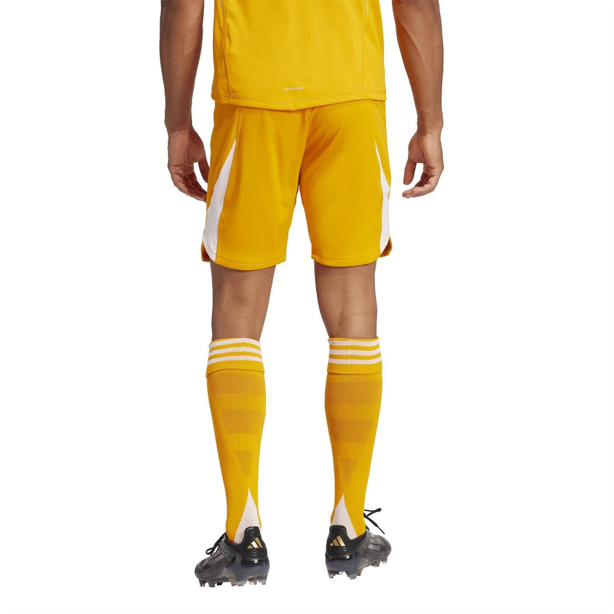 adidas T25 P Gk Shorts