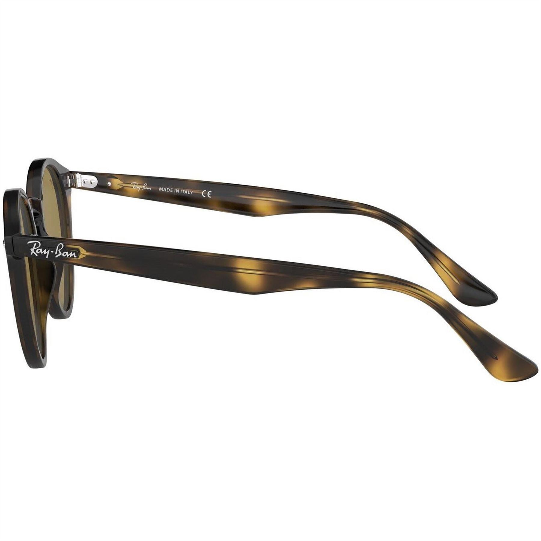 Ray-Ban Round Full Rim Round Sunglasses