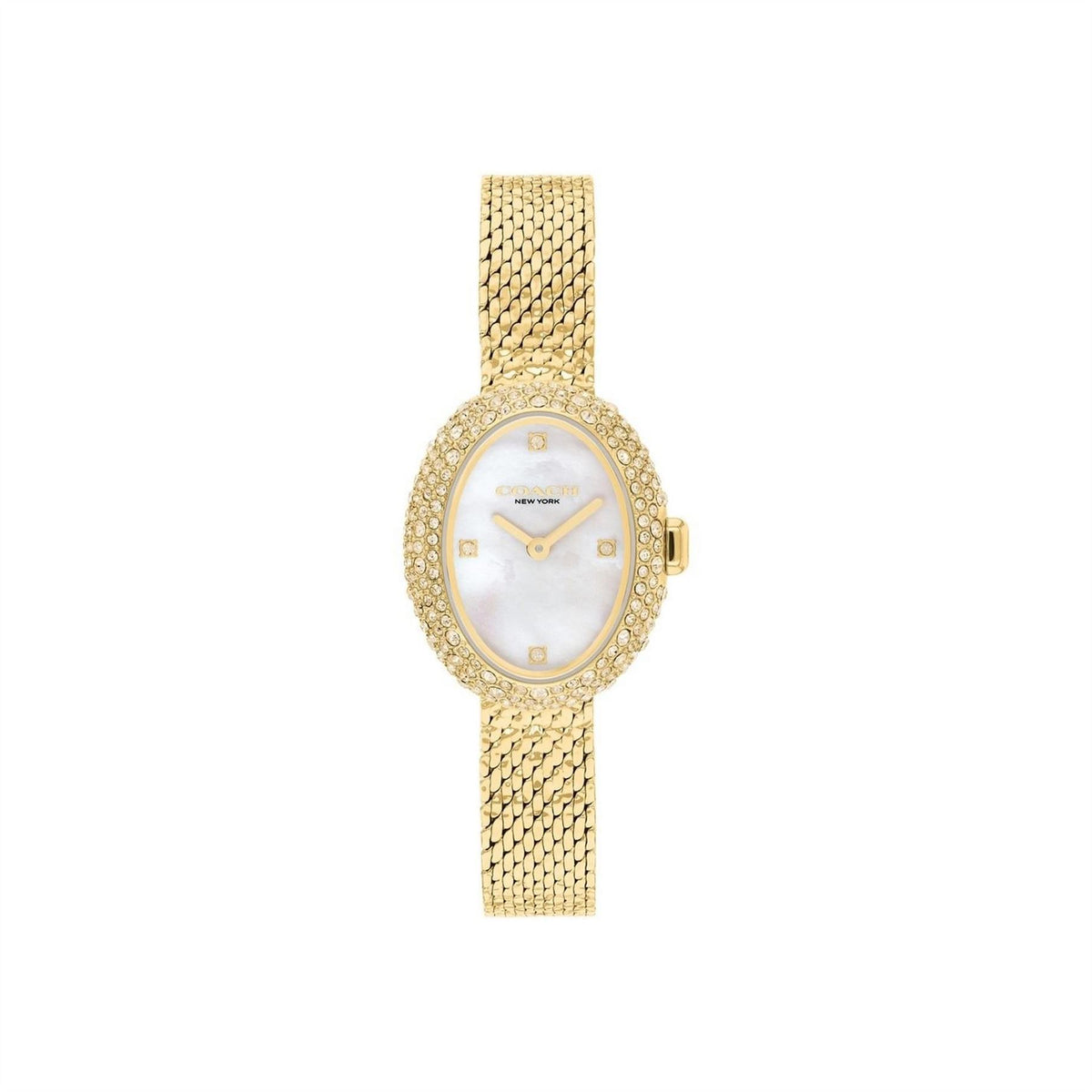 Coach Mesh Watch
