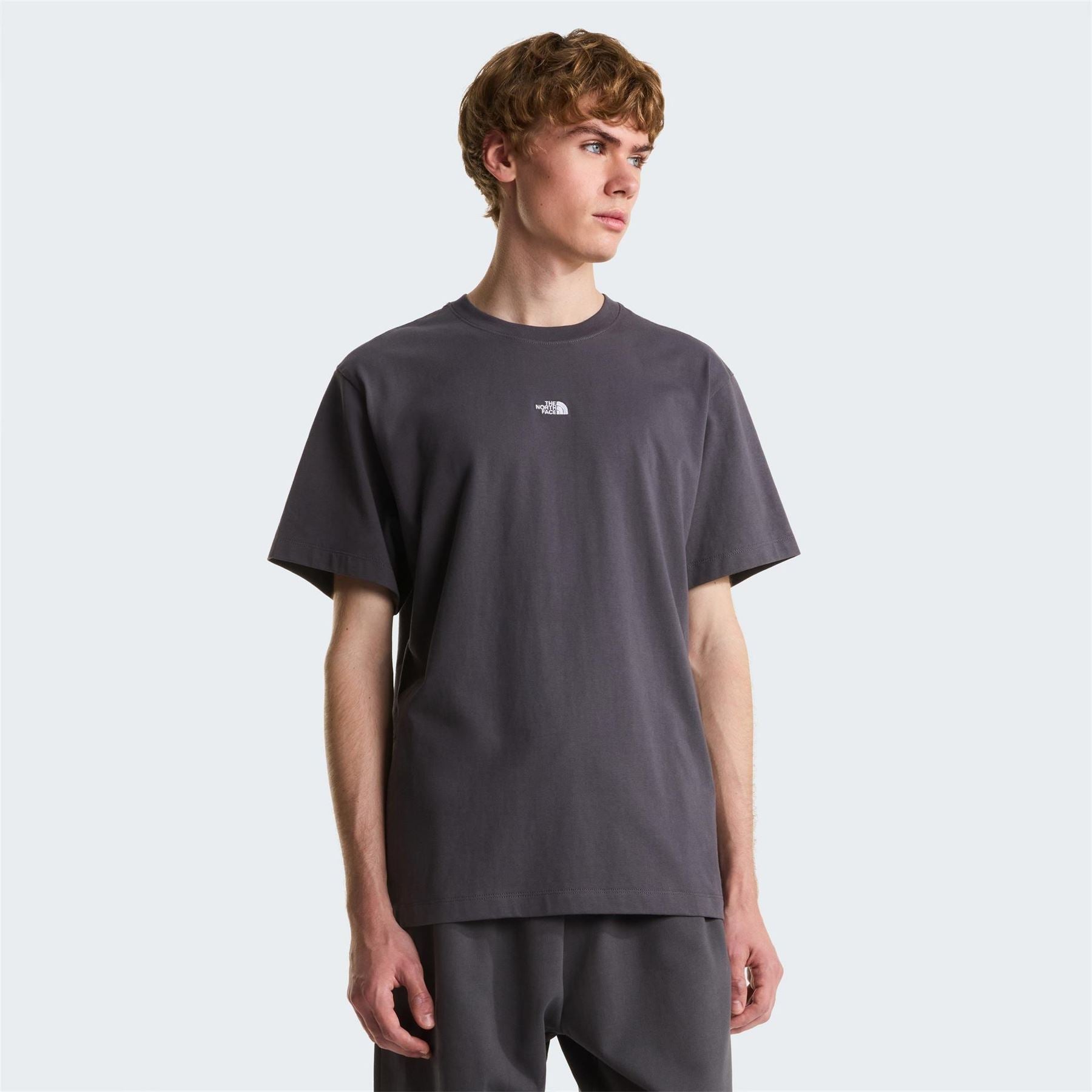 The North Face Mens Ess Central Logo Tee