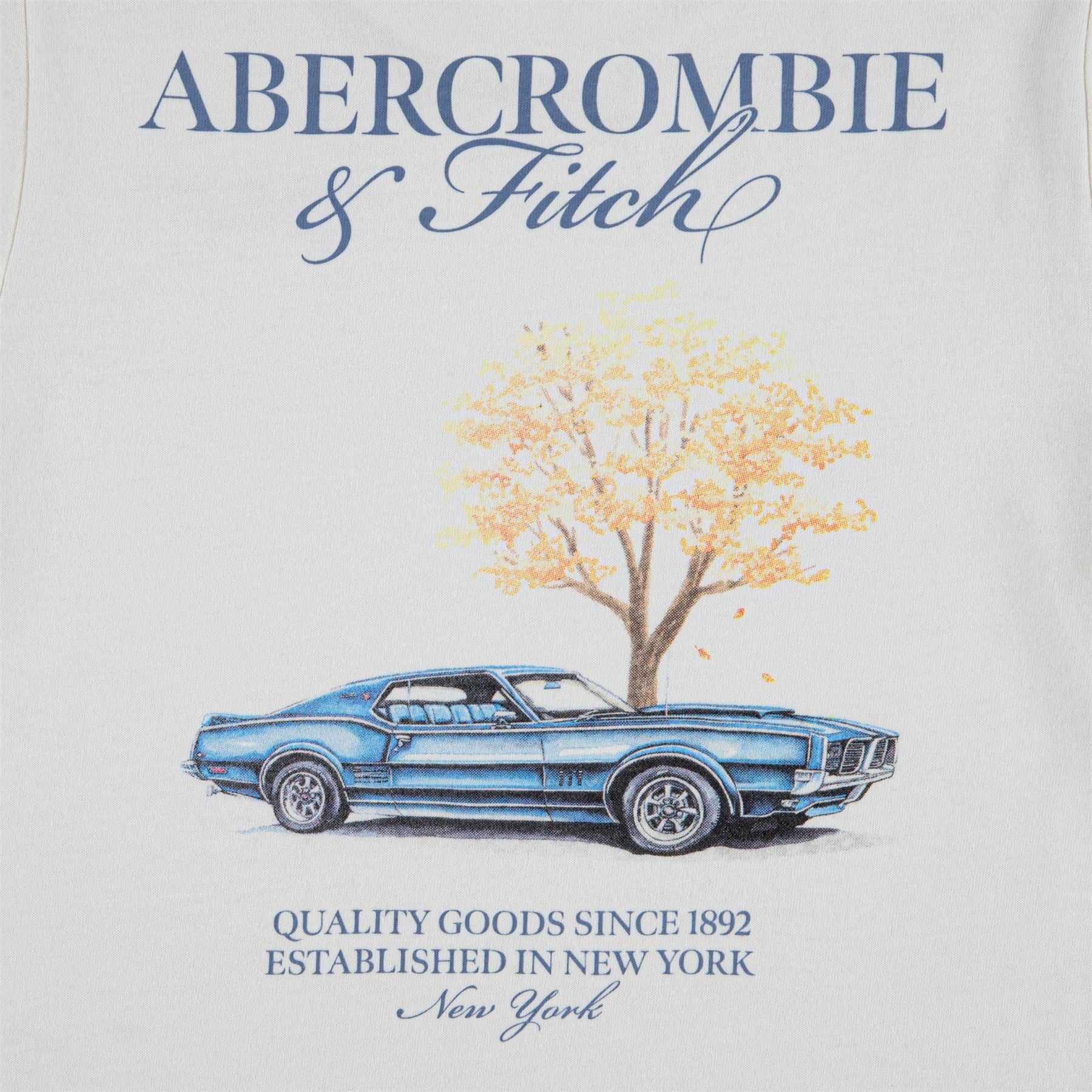 Abercrombie and Fitch And F Auto Tee Jn62