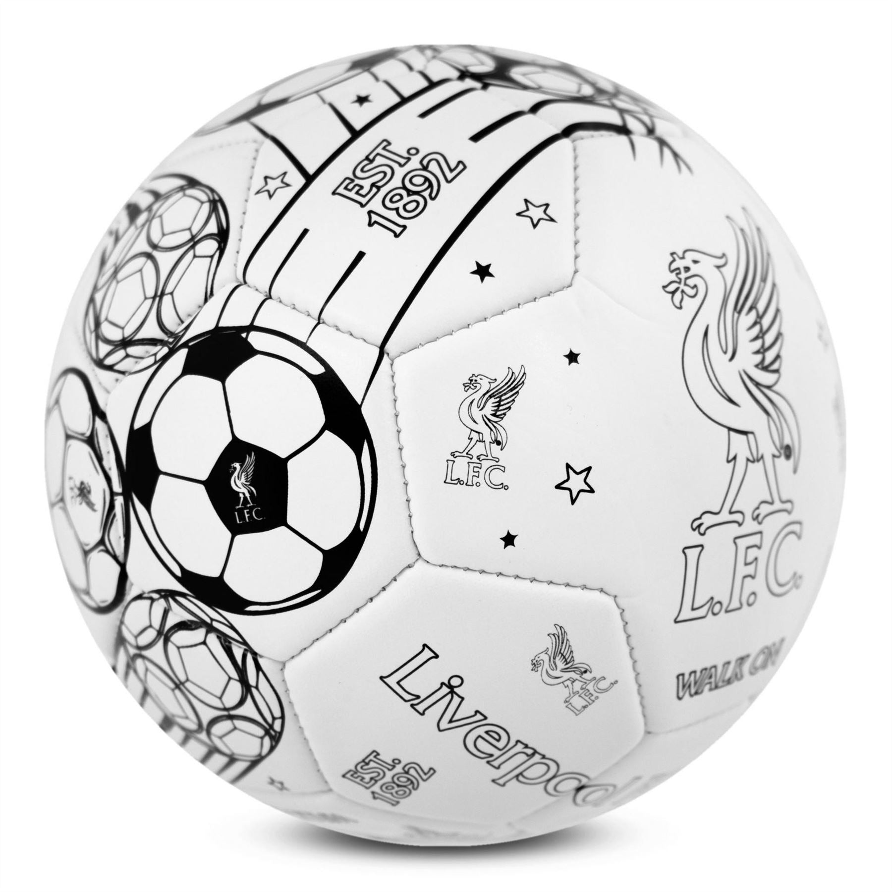 Team Colour In Football Supporter Set